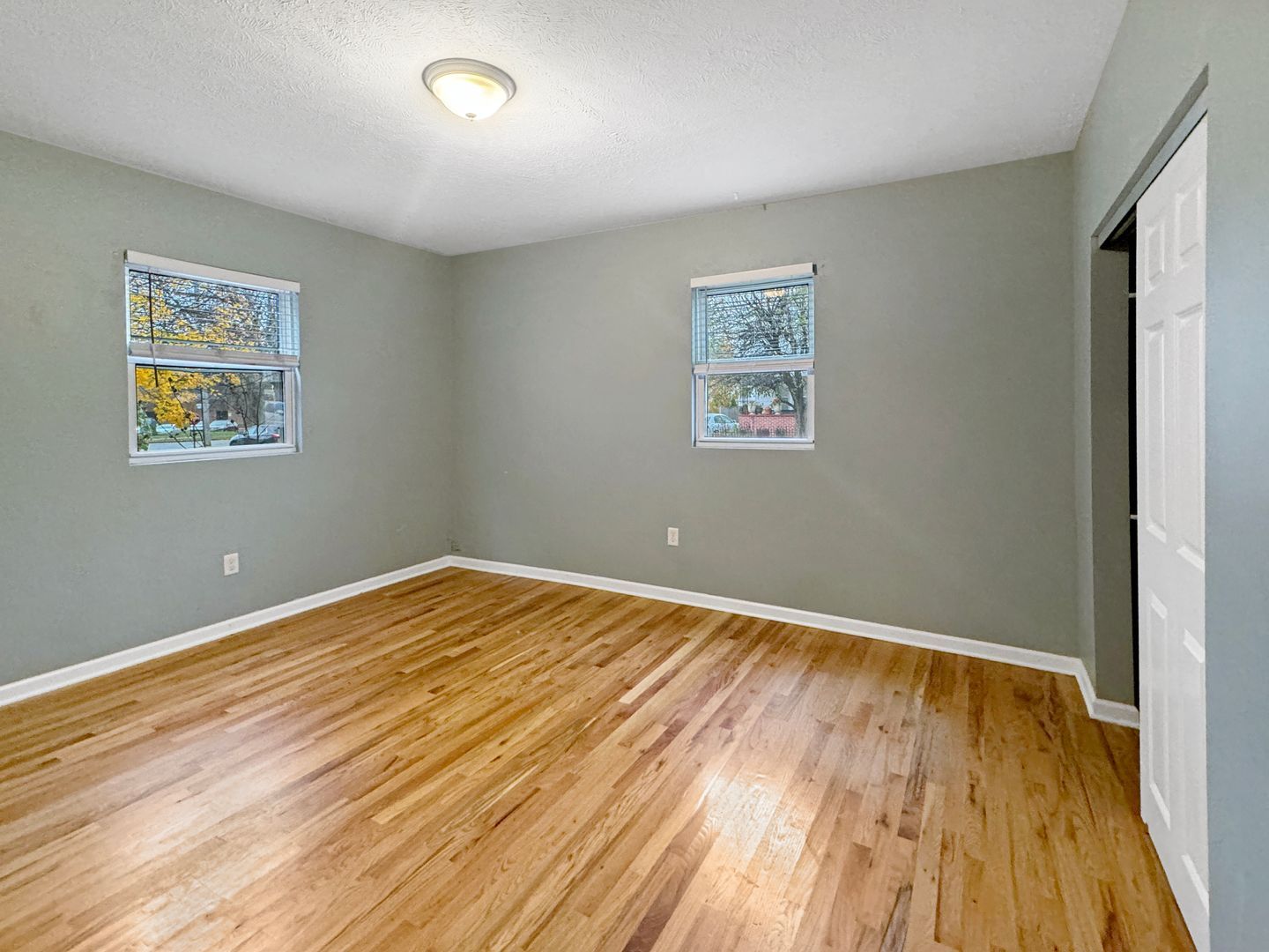 Gallery Image 6