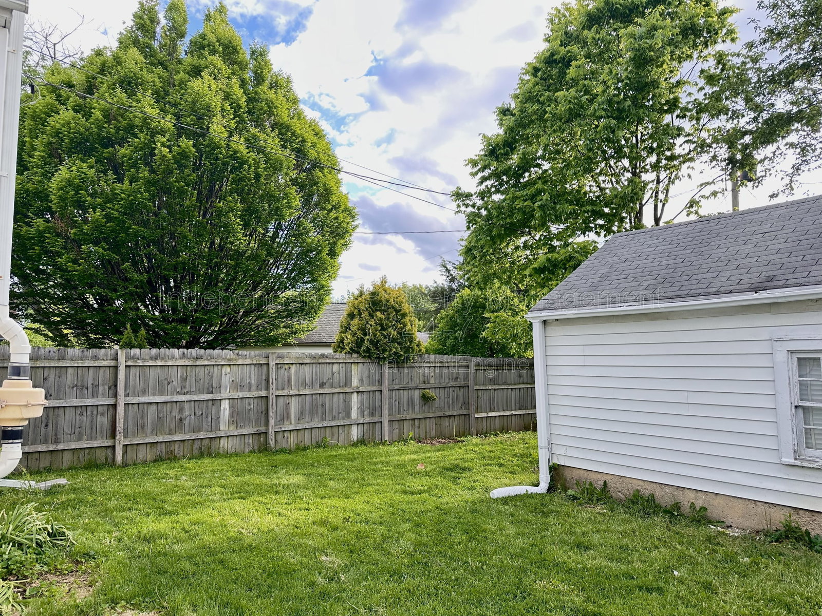 Gallery Image 15