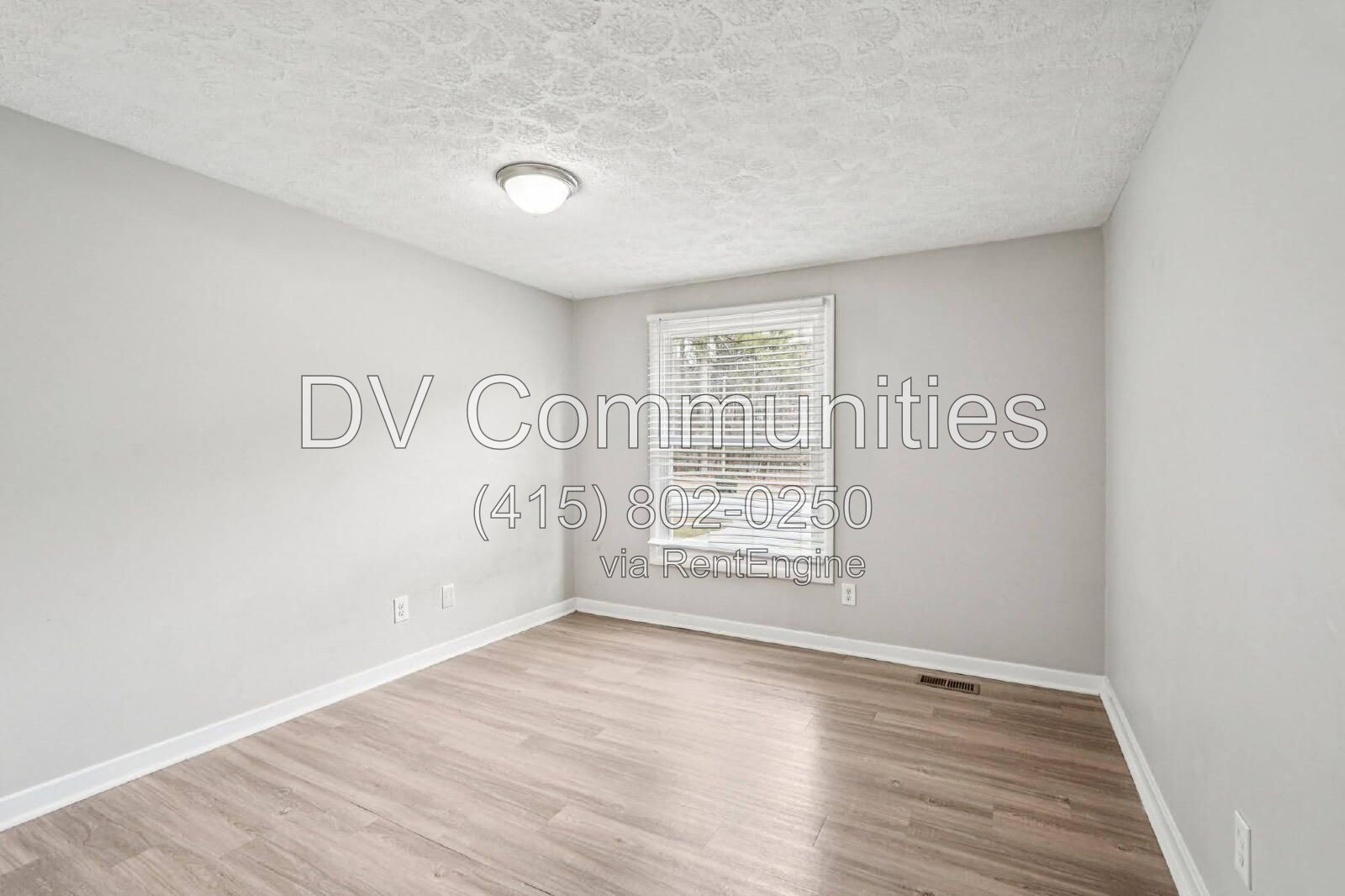 Gallery Image 19
