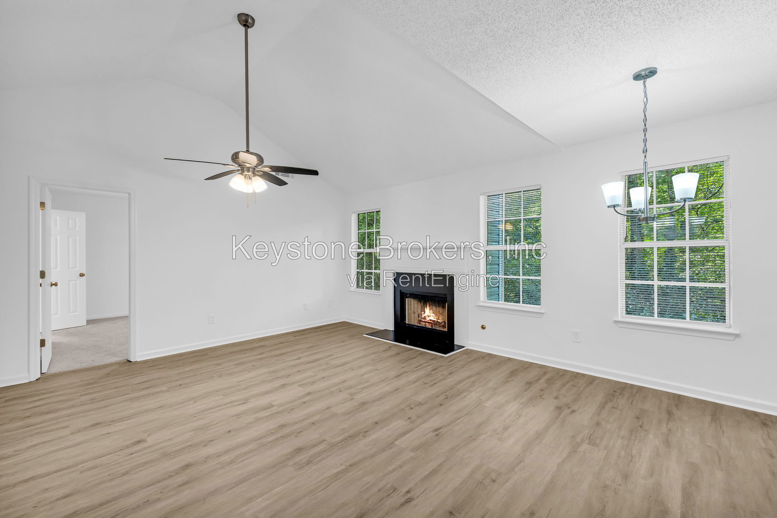 Gallery Image 8