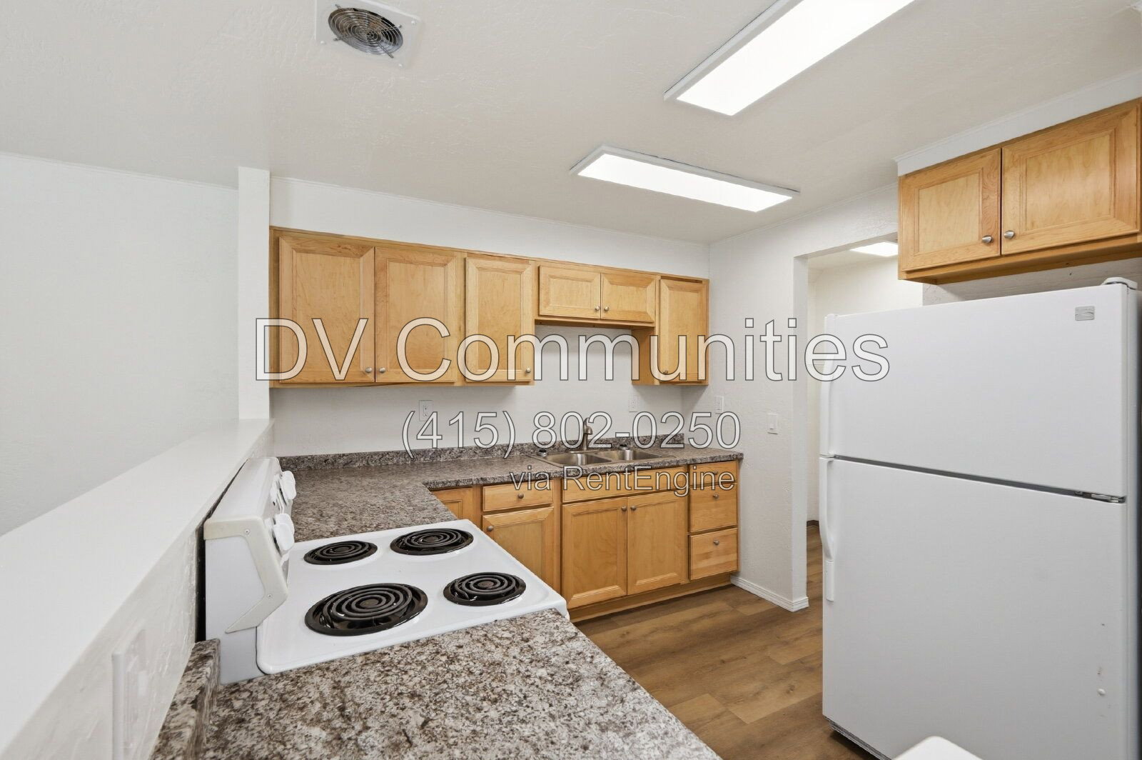 Gallery Image 16