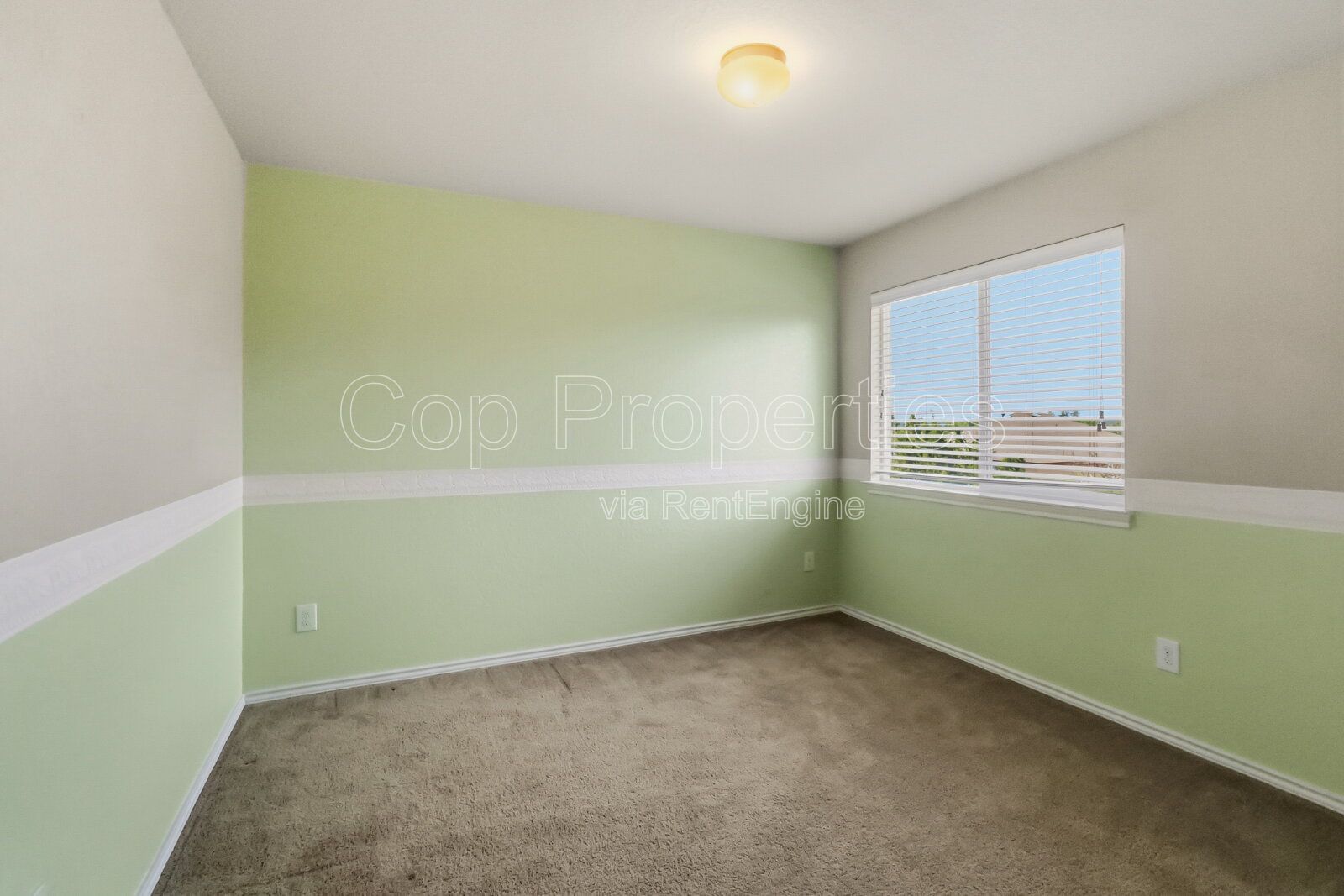 Gallery Image 38