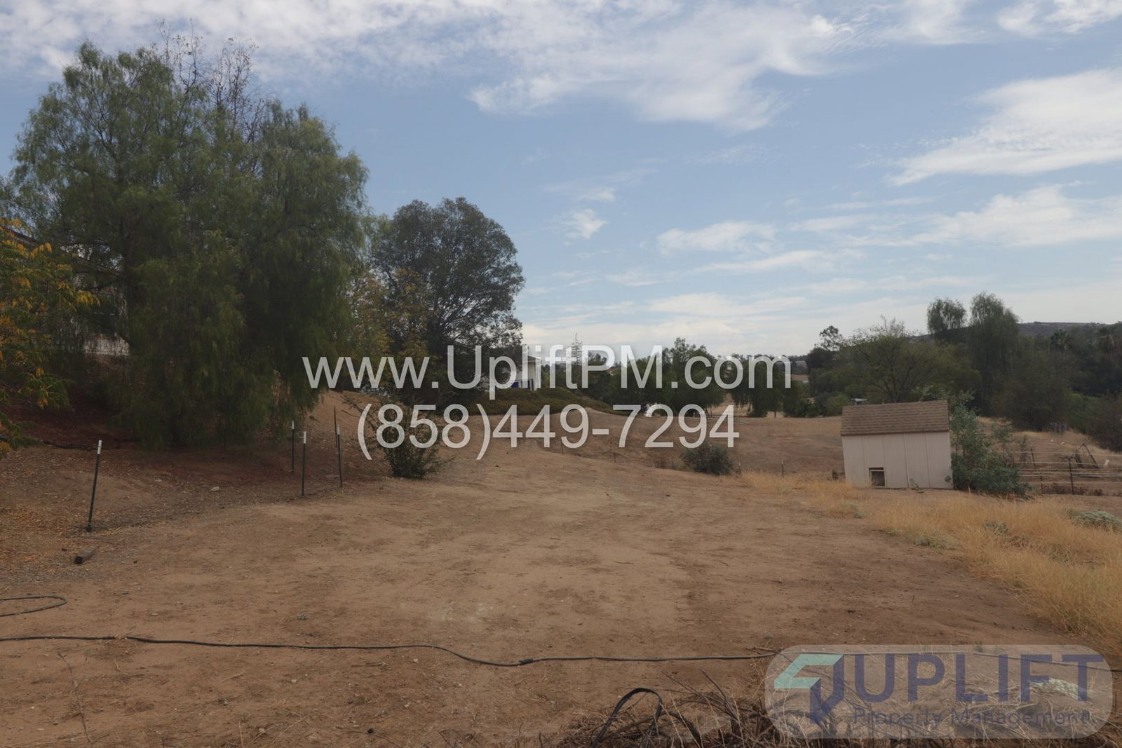 Gallery Image 10