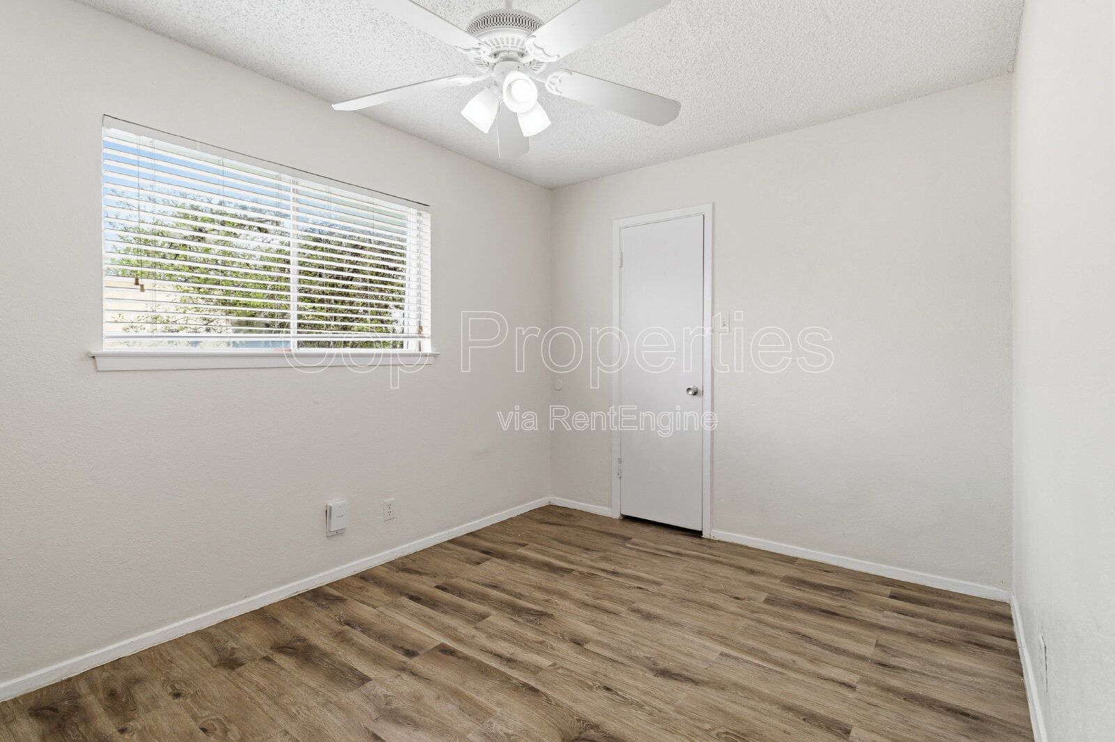 Gallery Image 16