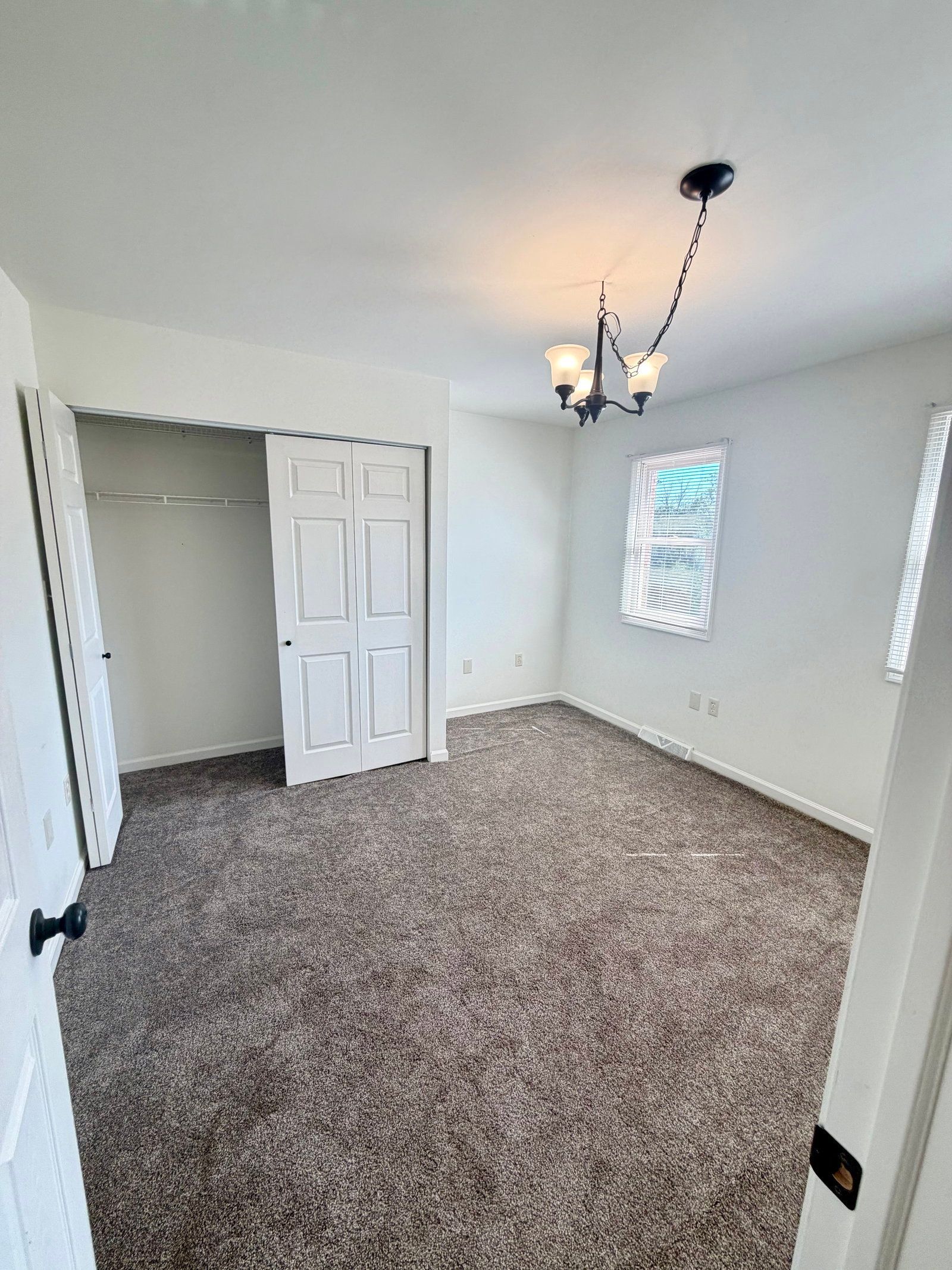 Gallery Image 19