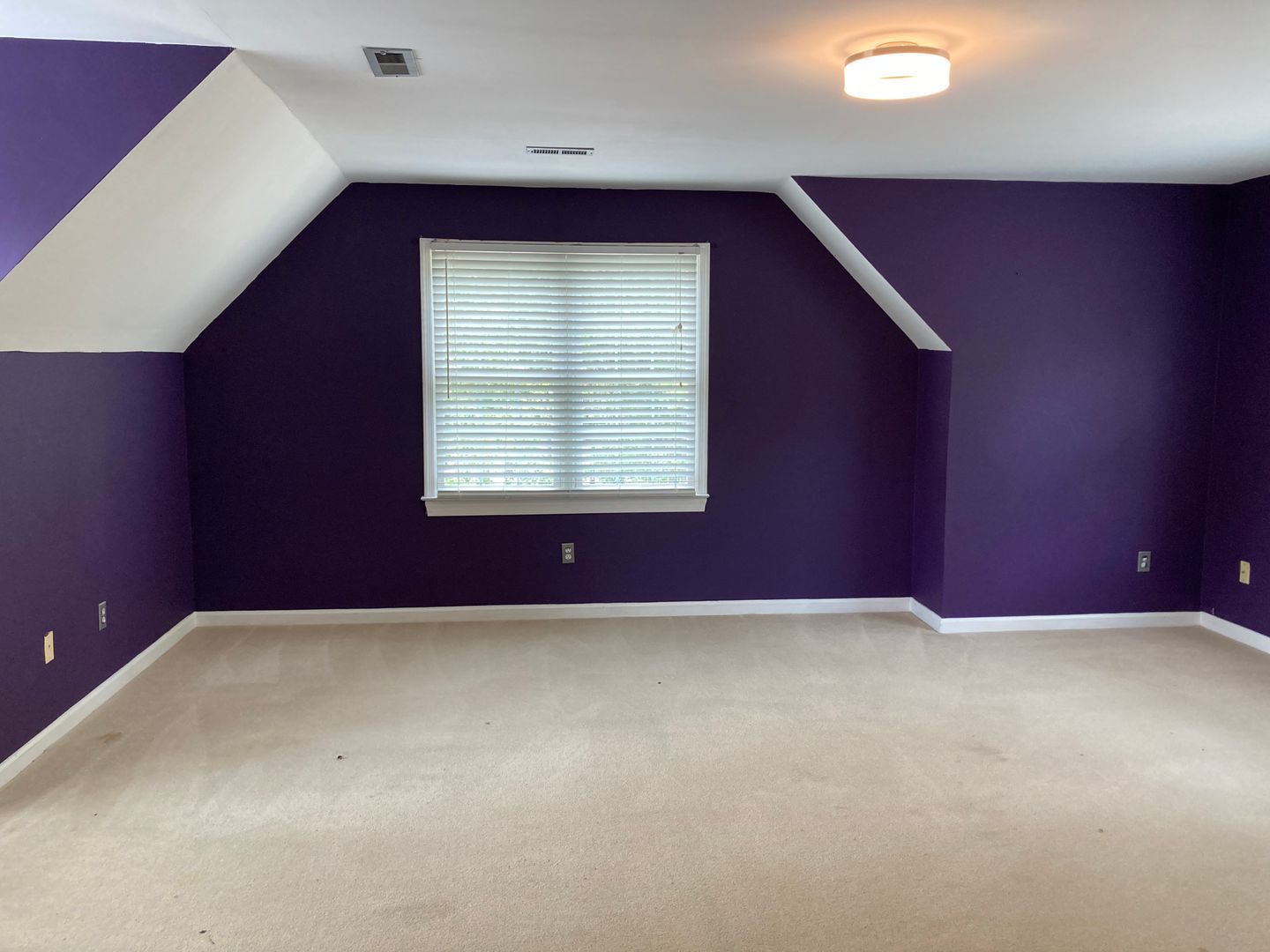 Gallery Image 19