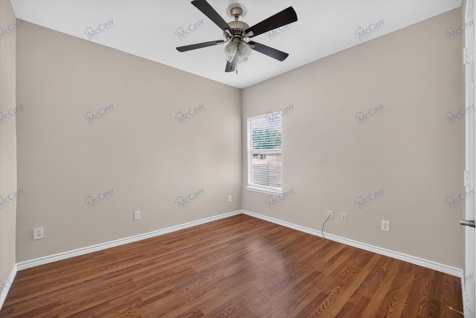 Gallery Image 20