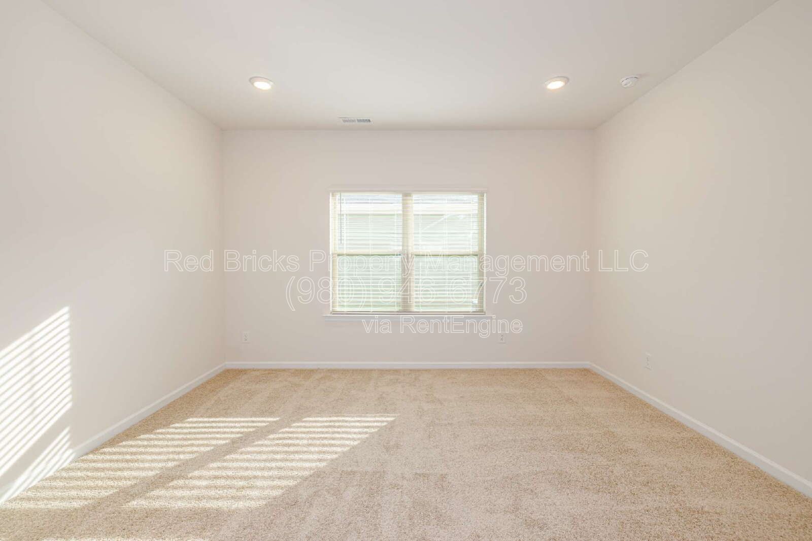 Gallery Image 20