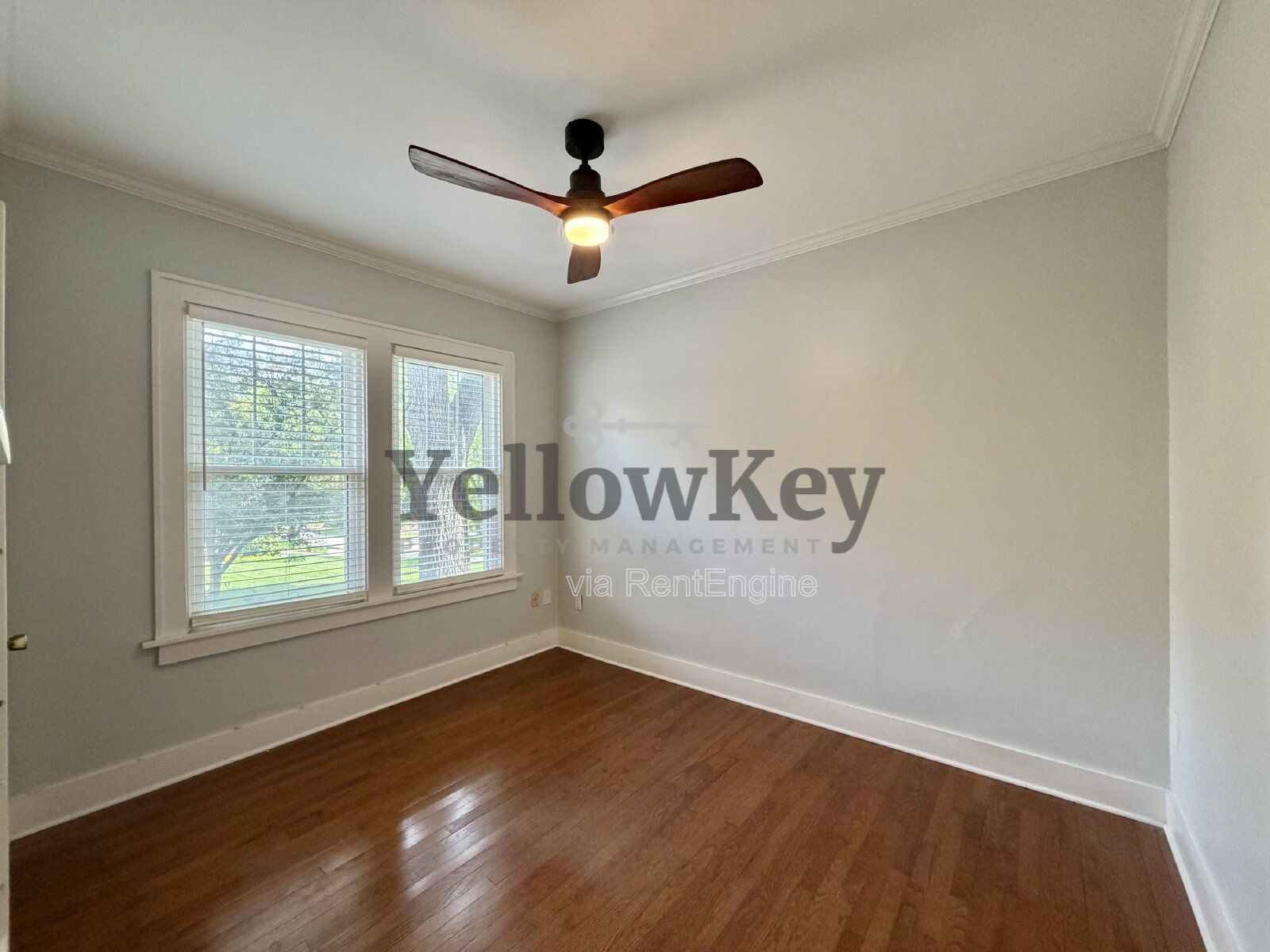 Gallery Image 8