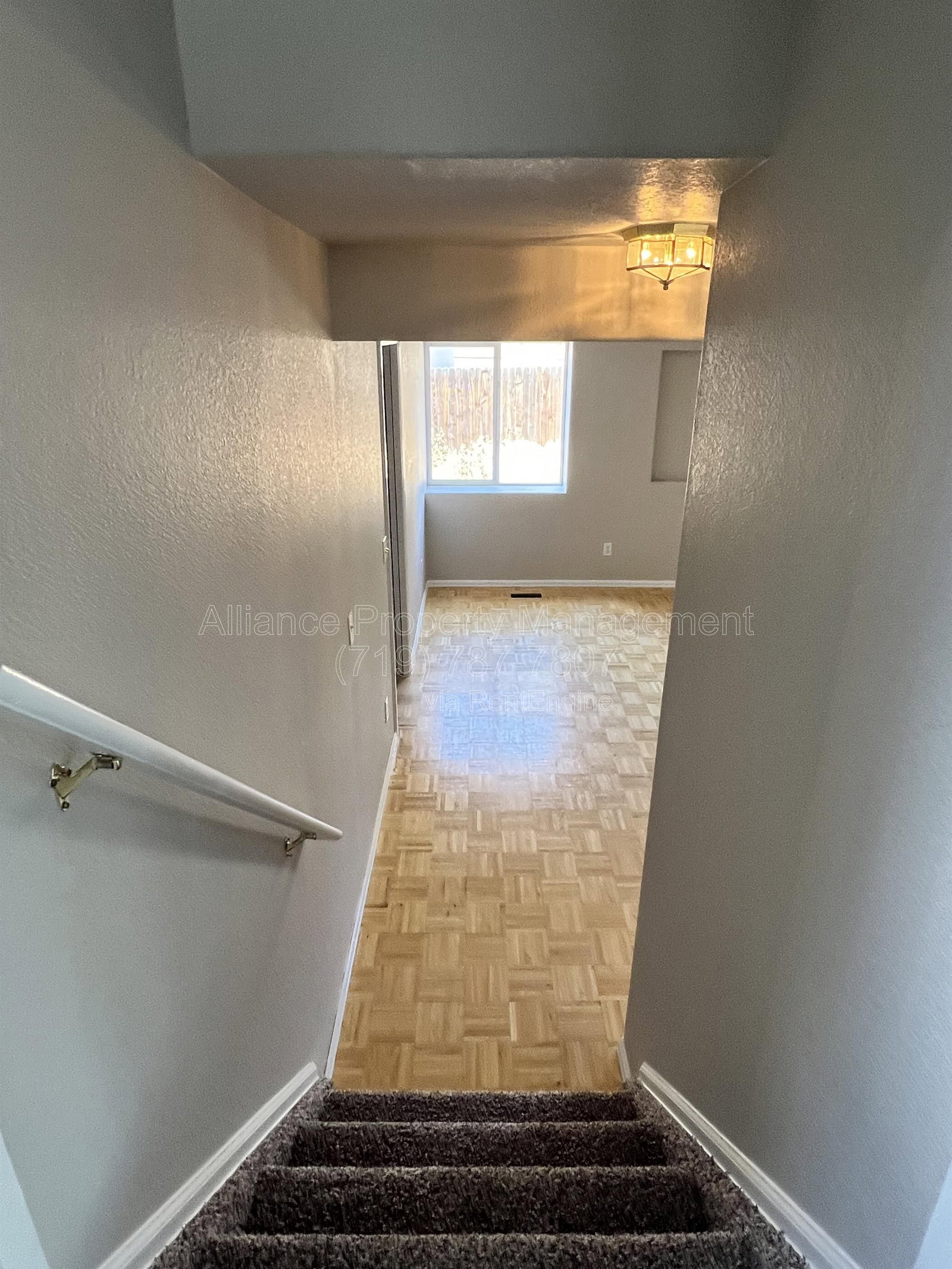 Gallery Image 31
