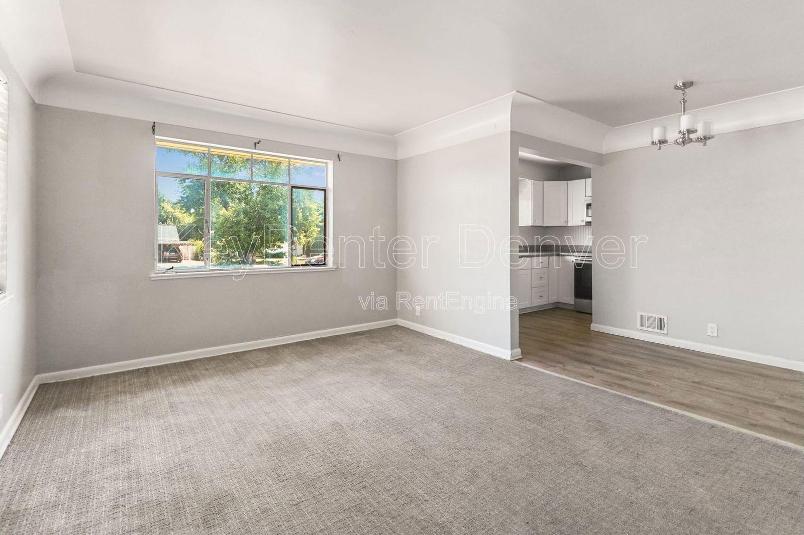 Gallery Image 0