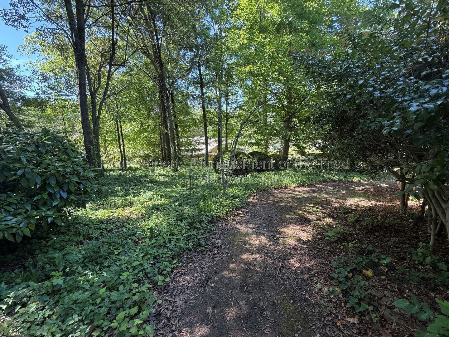 Gallery Image 16