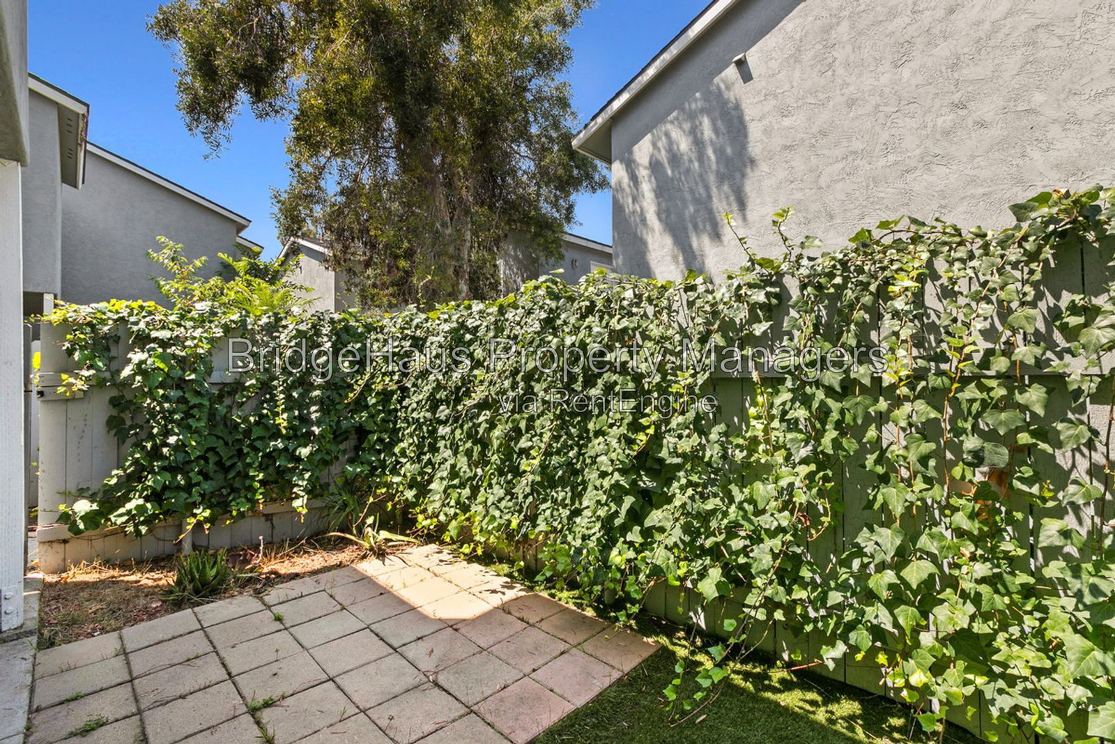 Gallery Image 21