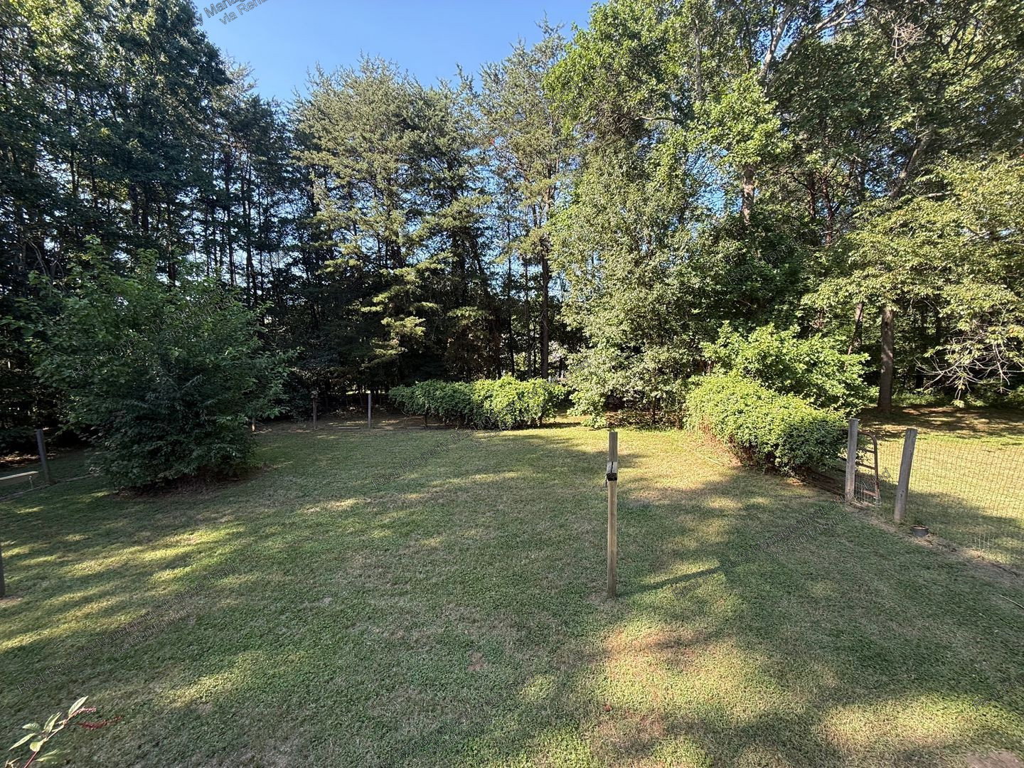 Gallery Image 19