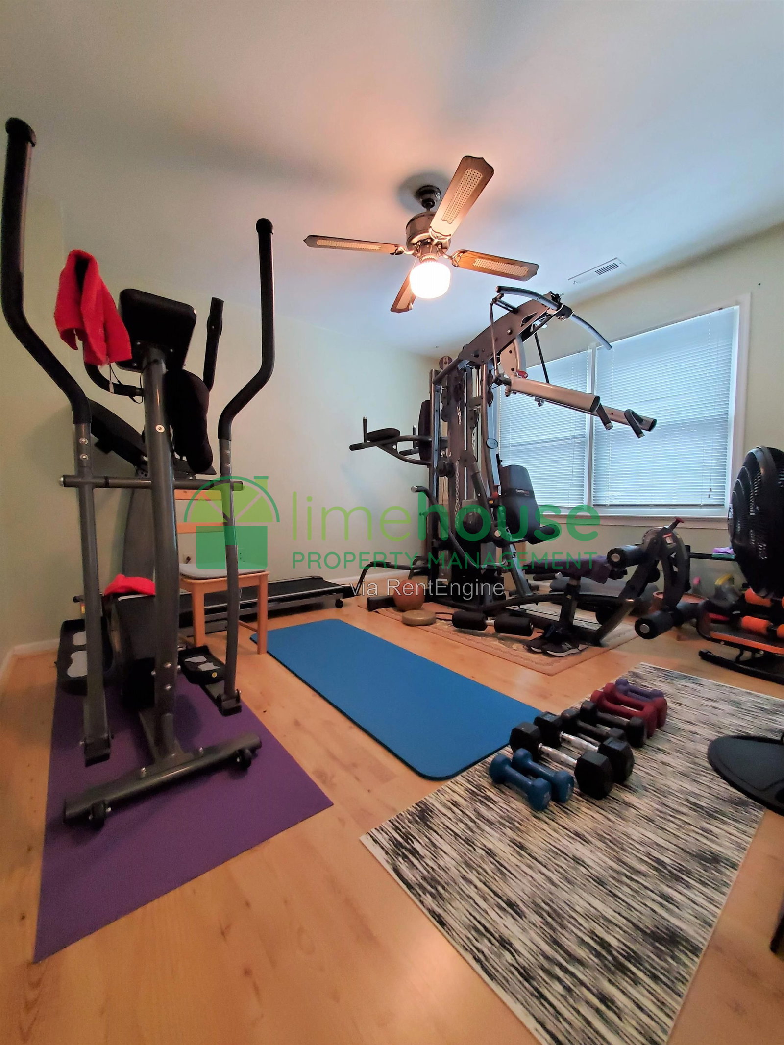Gallery Image 11