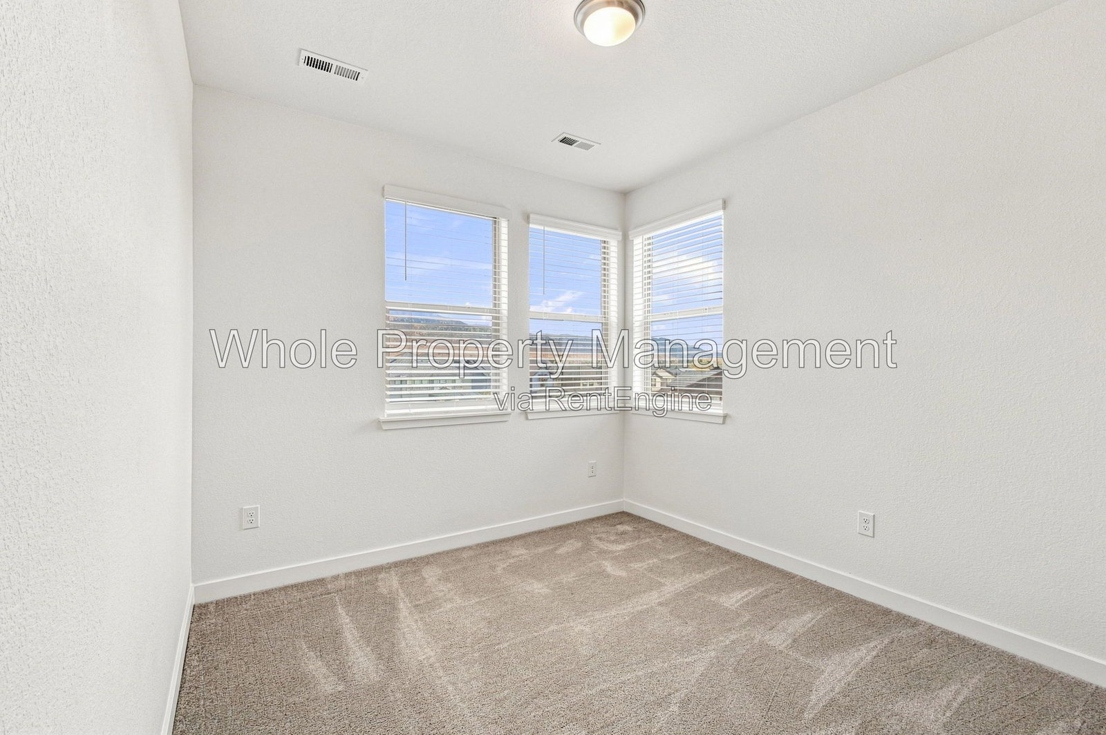Gallery Image 19