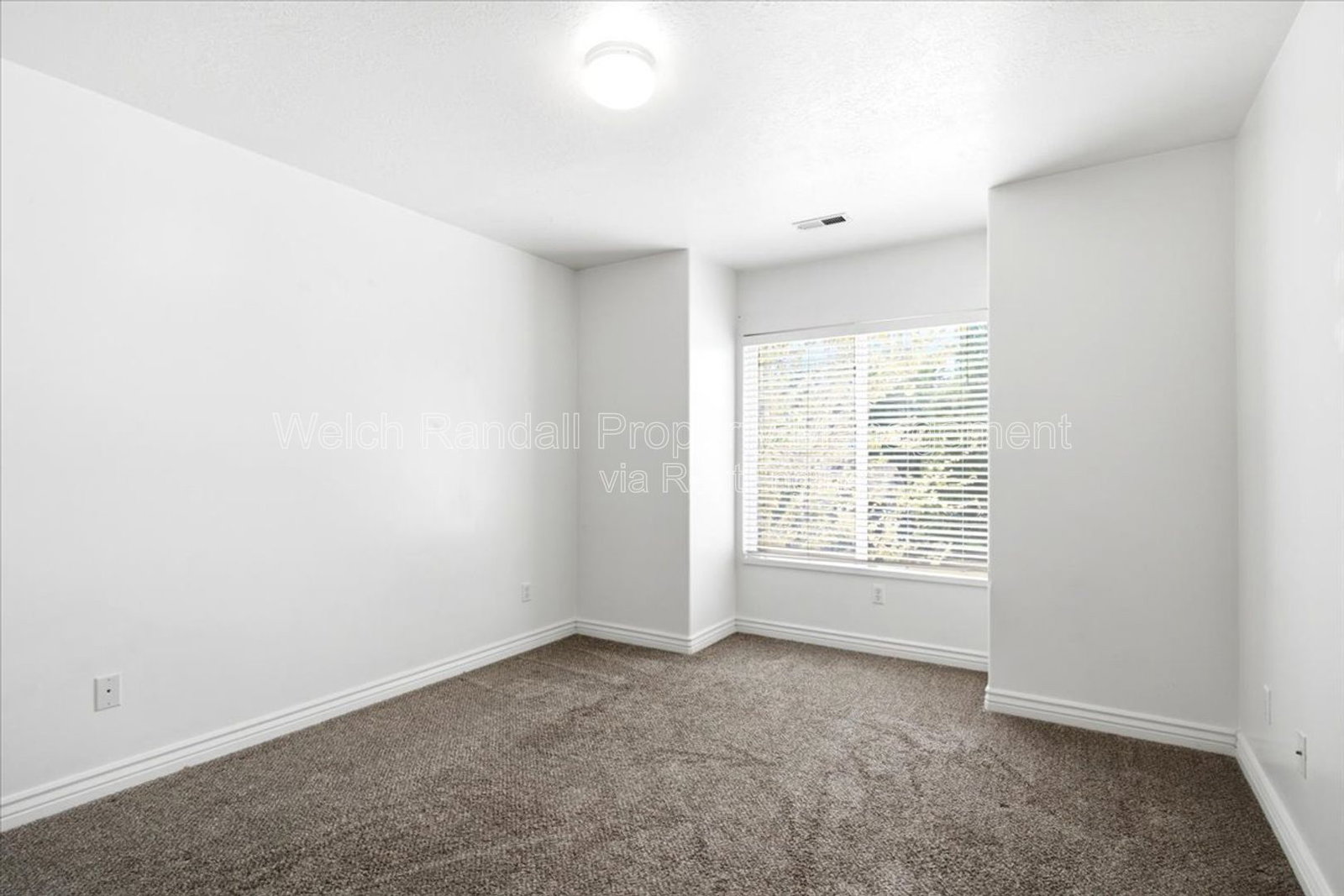 Gallery Image 20