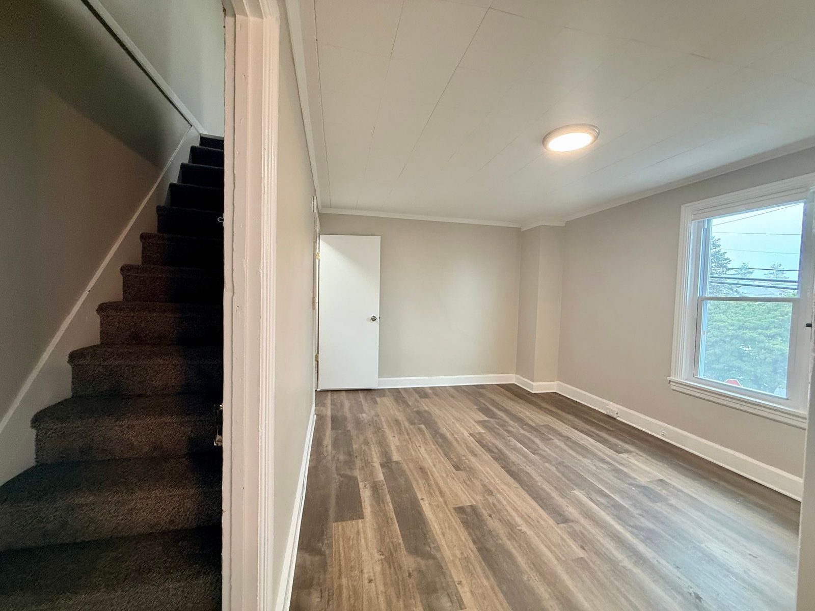 Gallery Image 19