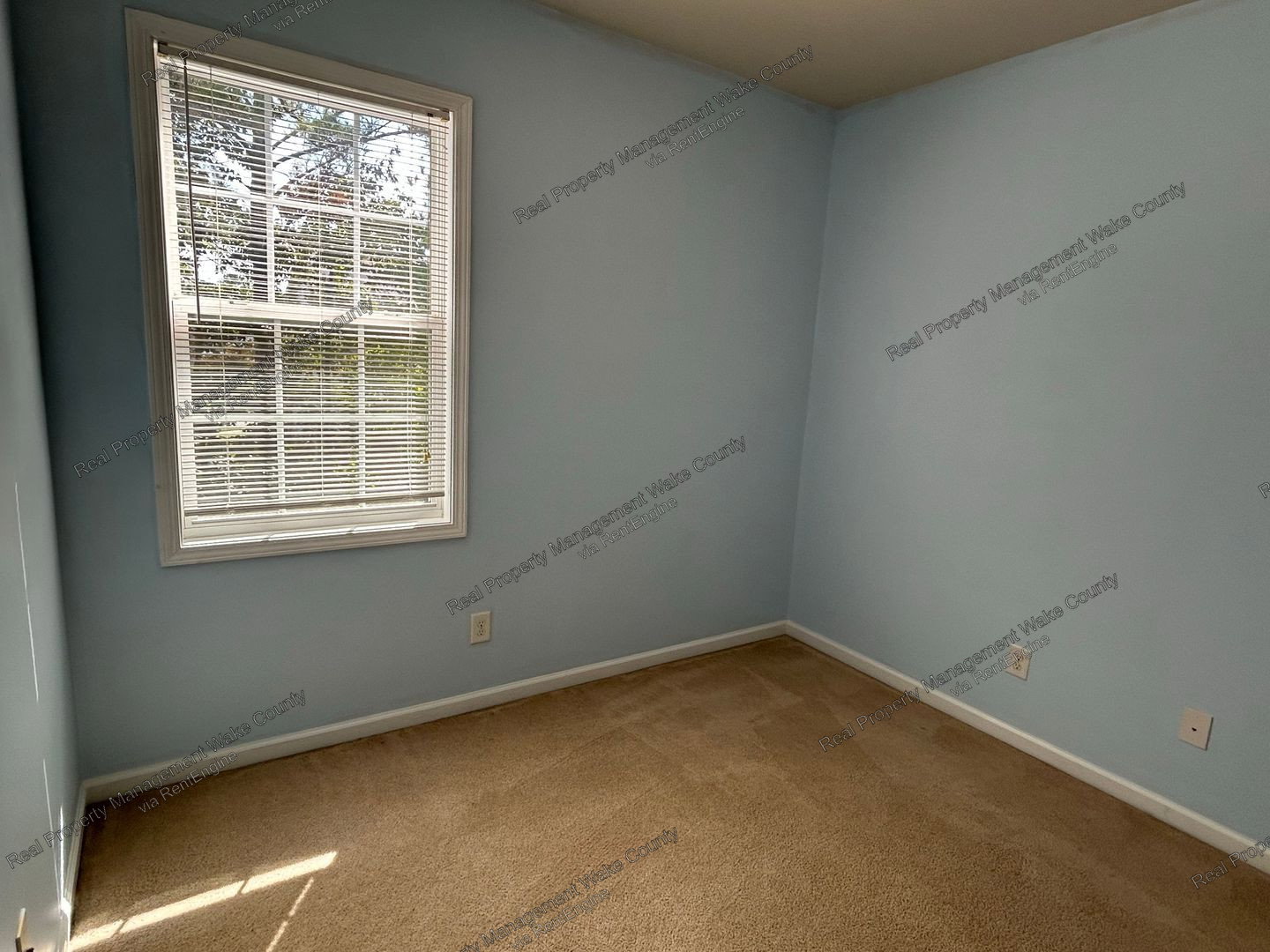 Gallery Image 39