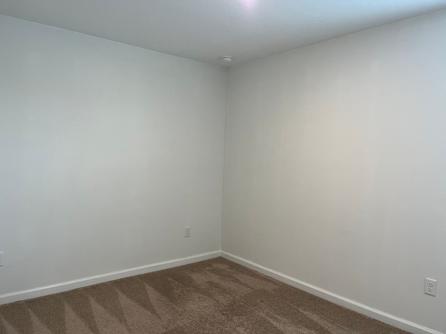 Gallery Image 19