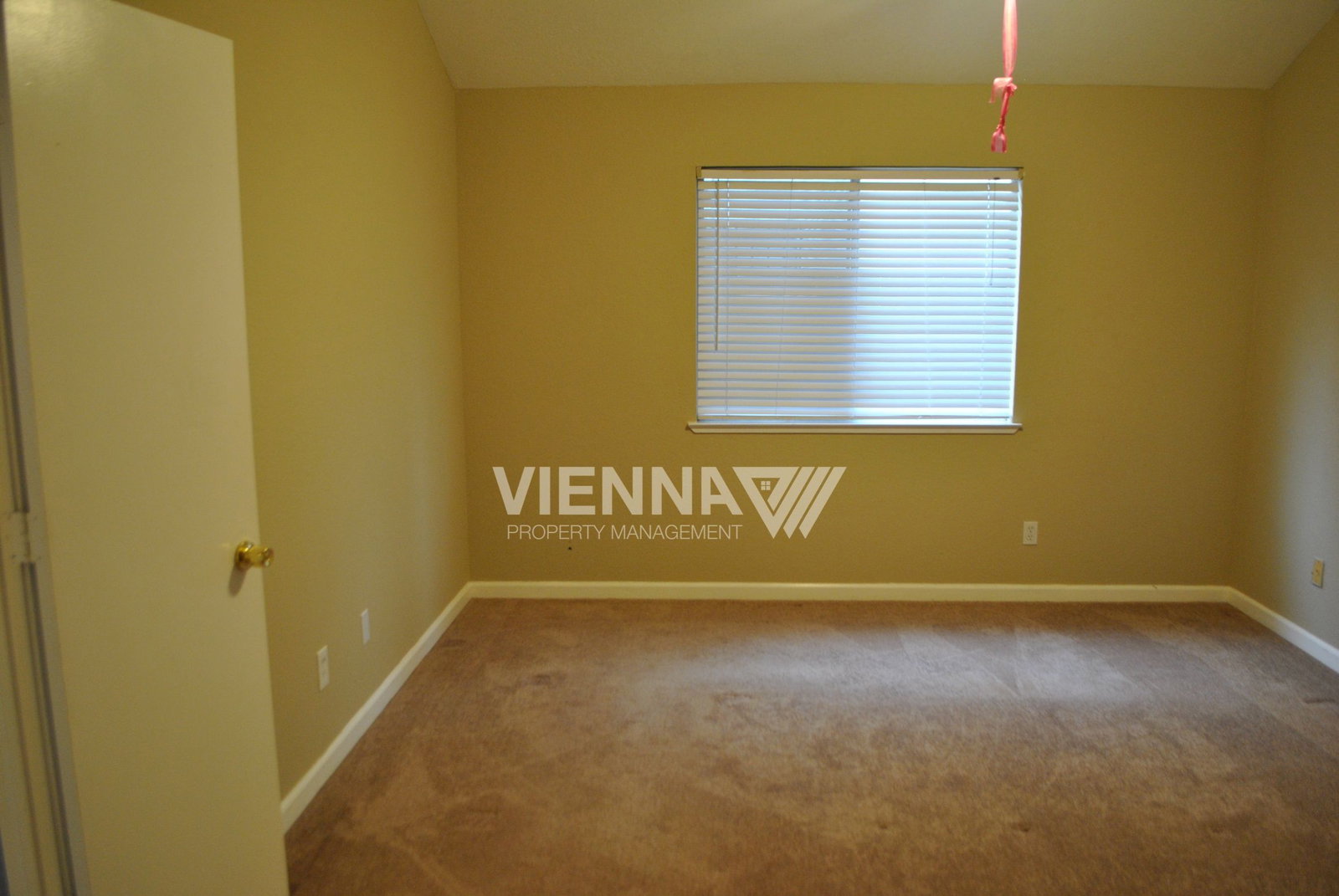 Gallery Image 22