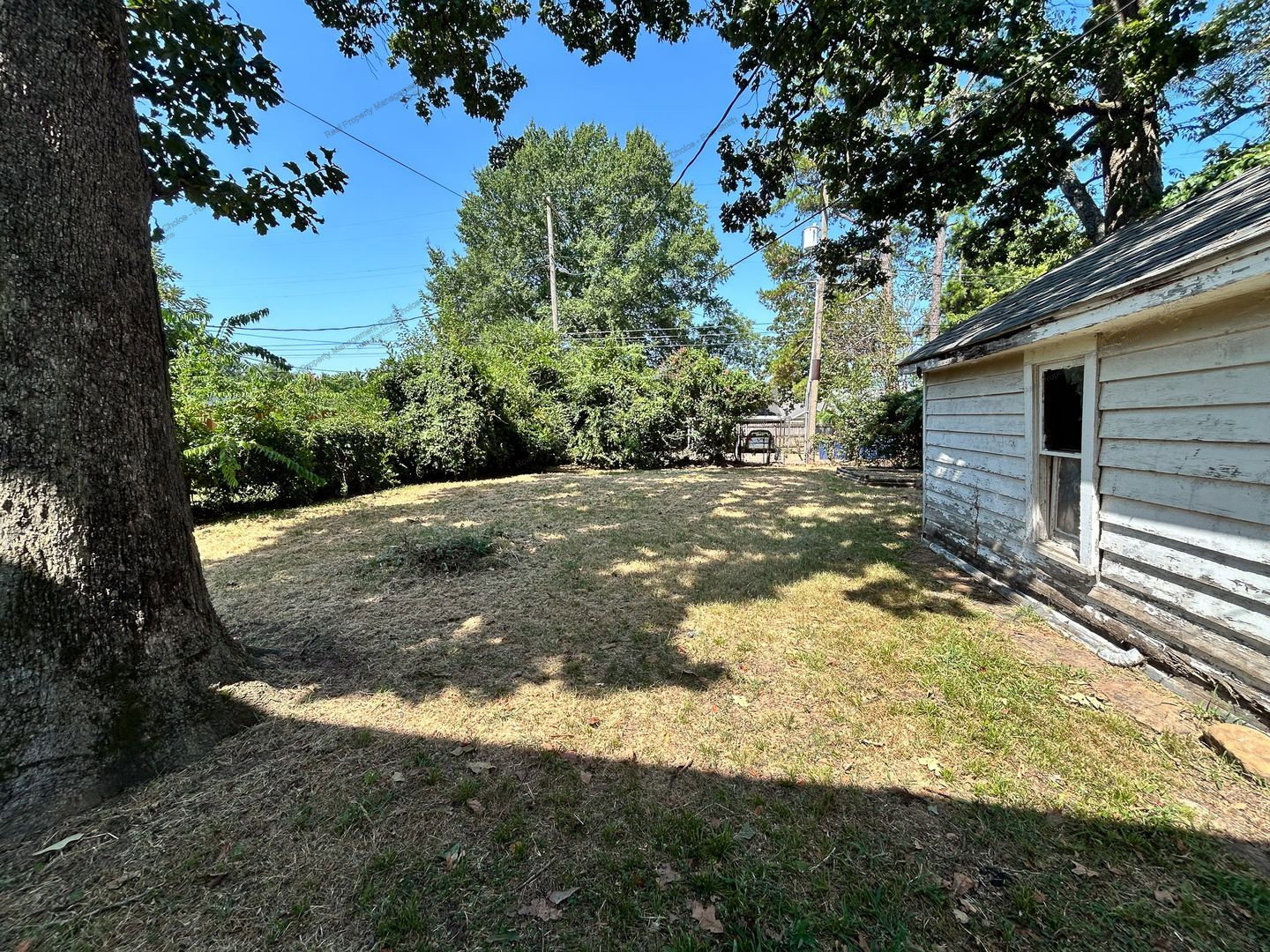 Gallery Image 38