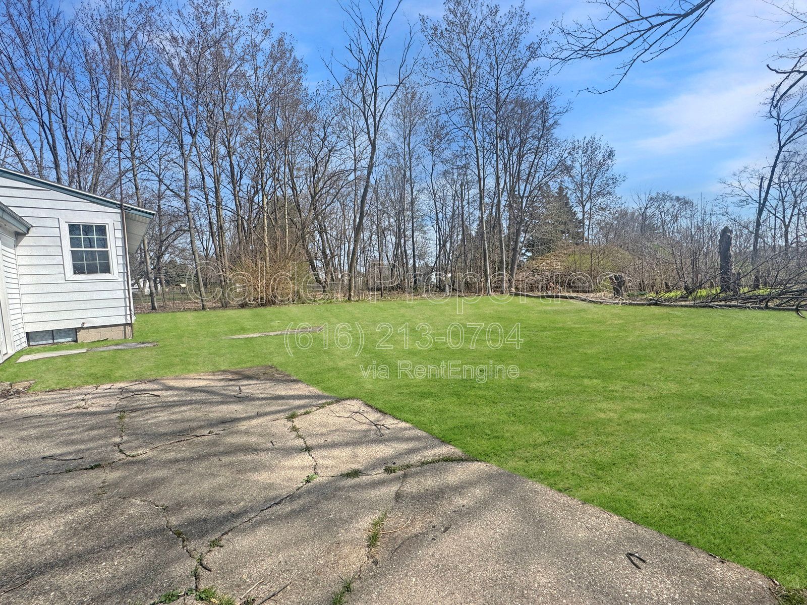 Gallery Image 16