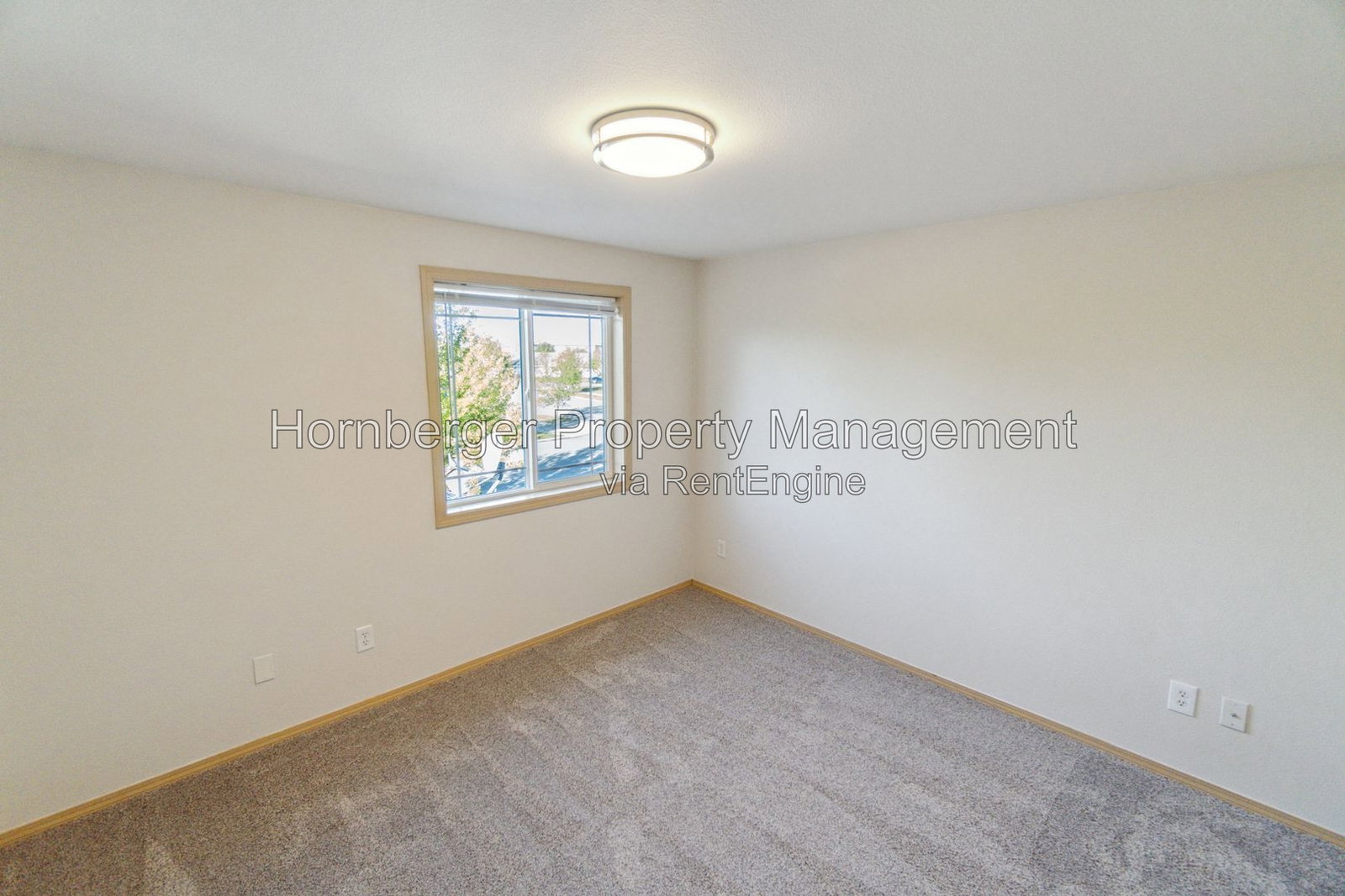 Gallery Image 19