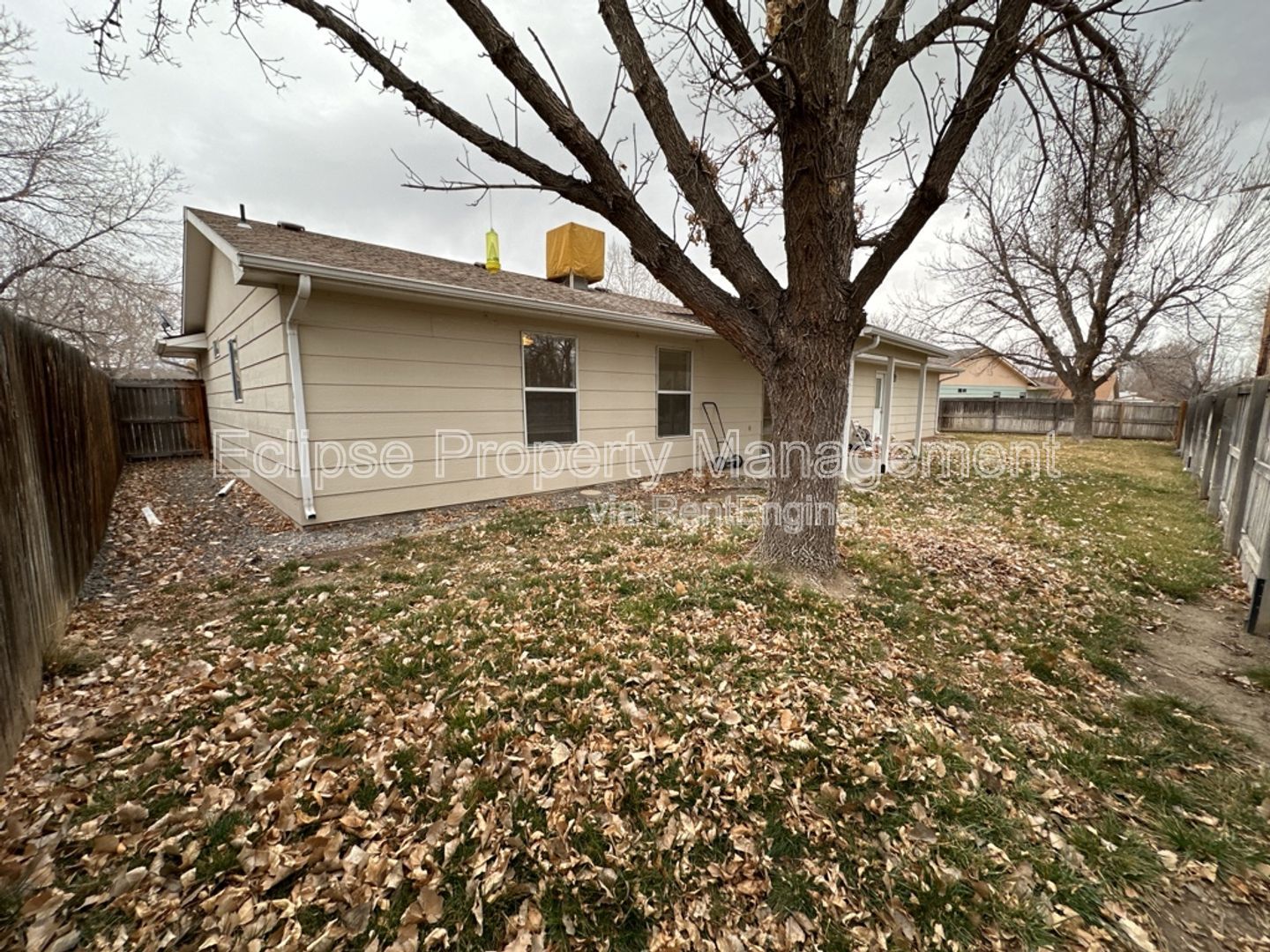 Gallery Image 18