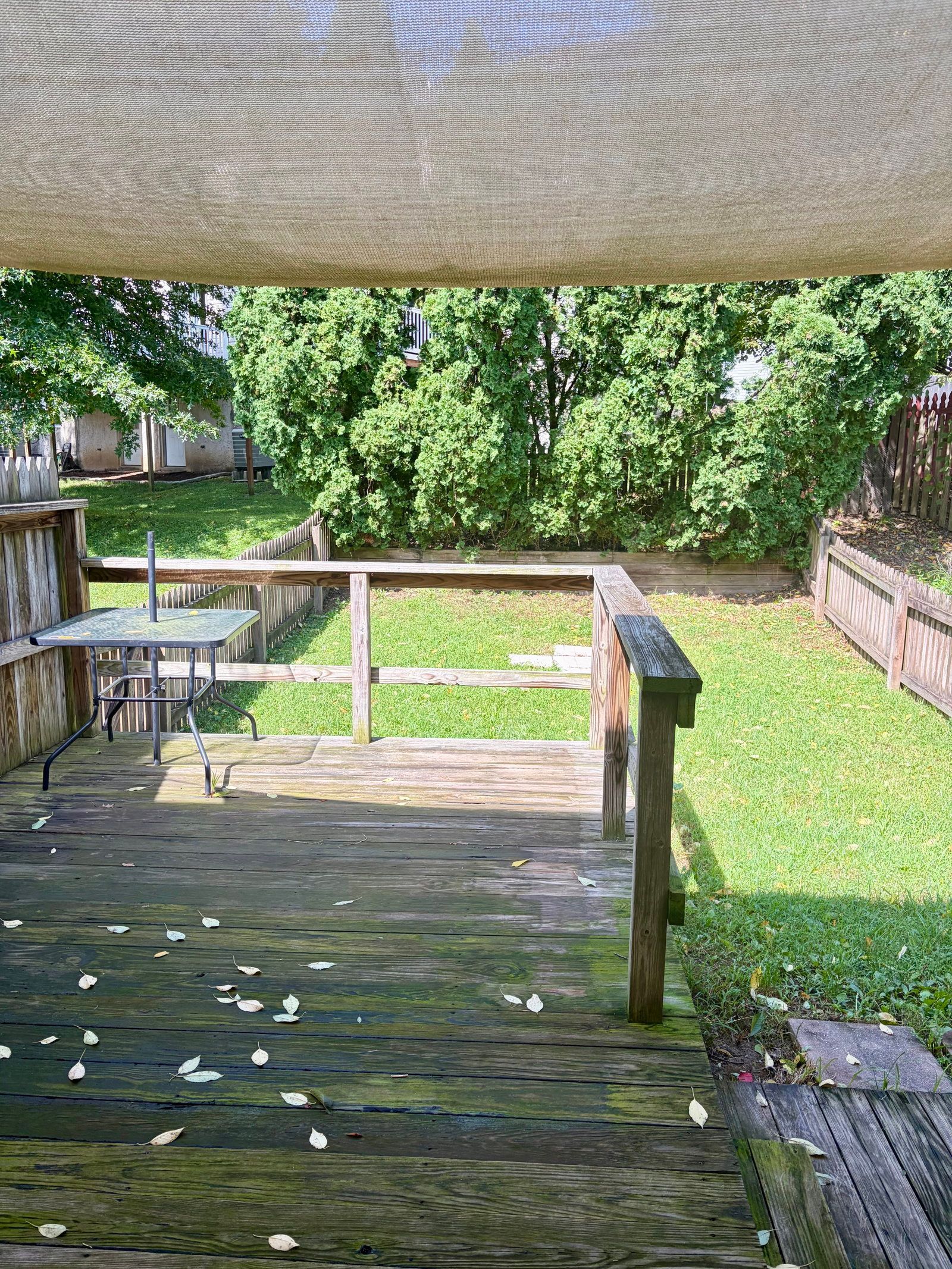 Gallery Image 14