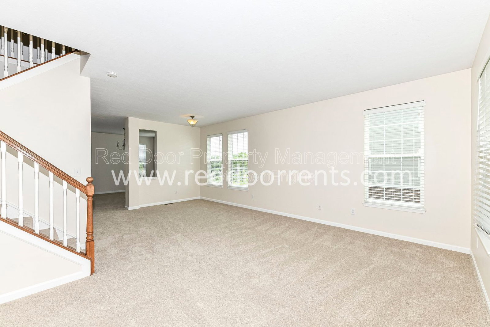 Gallery Image 23