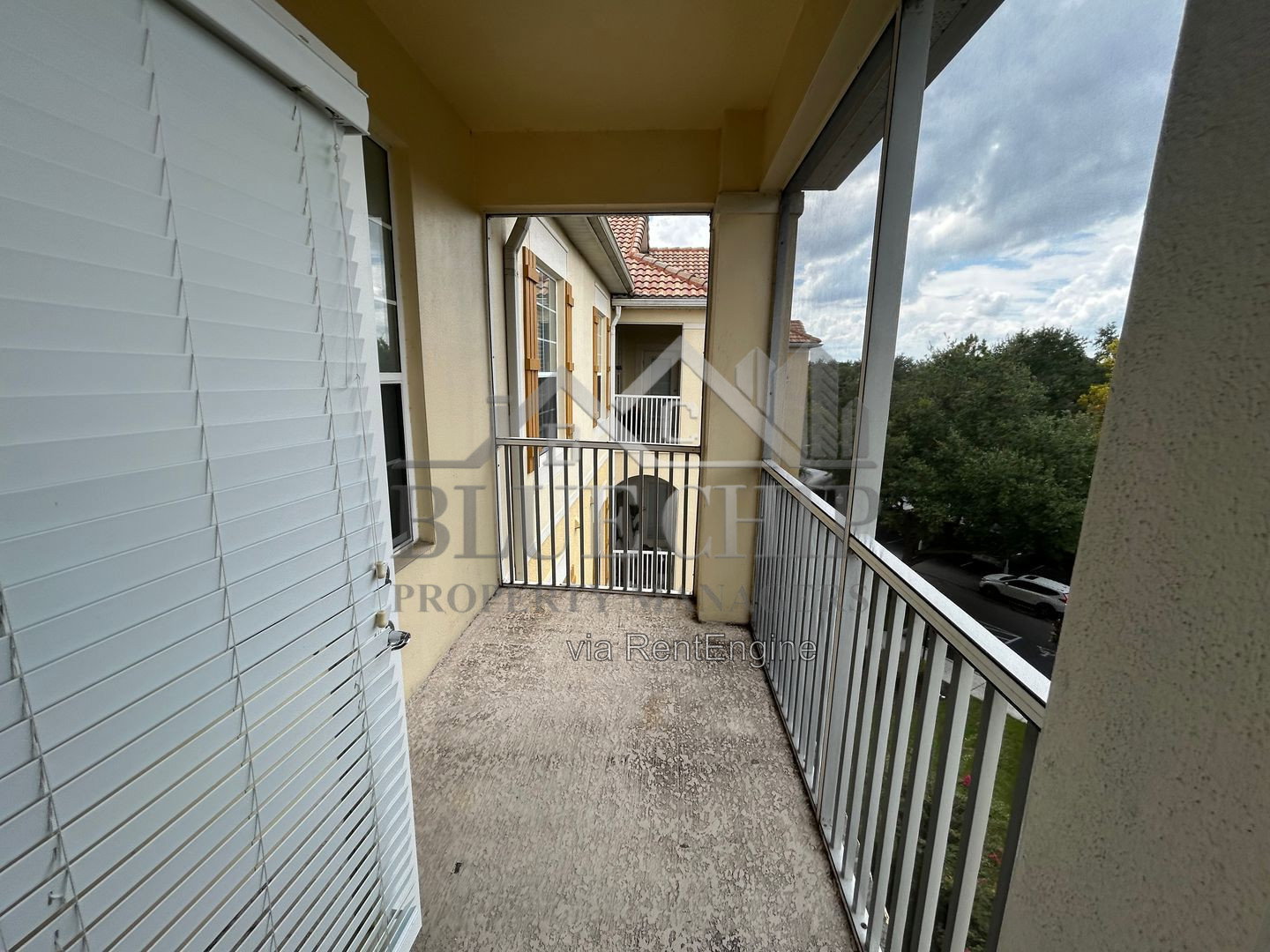 Gallery Image 15