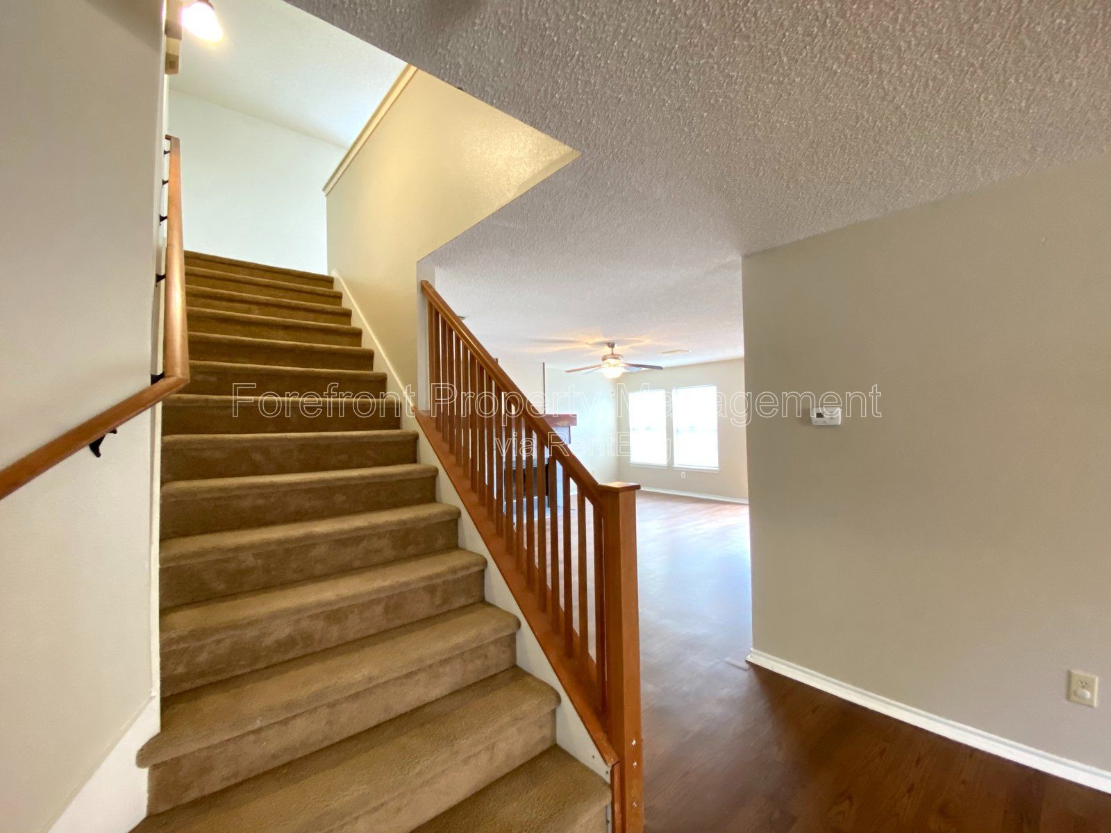 Gallery Image 34