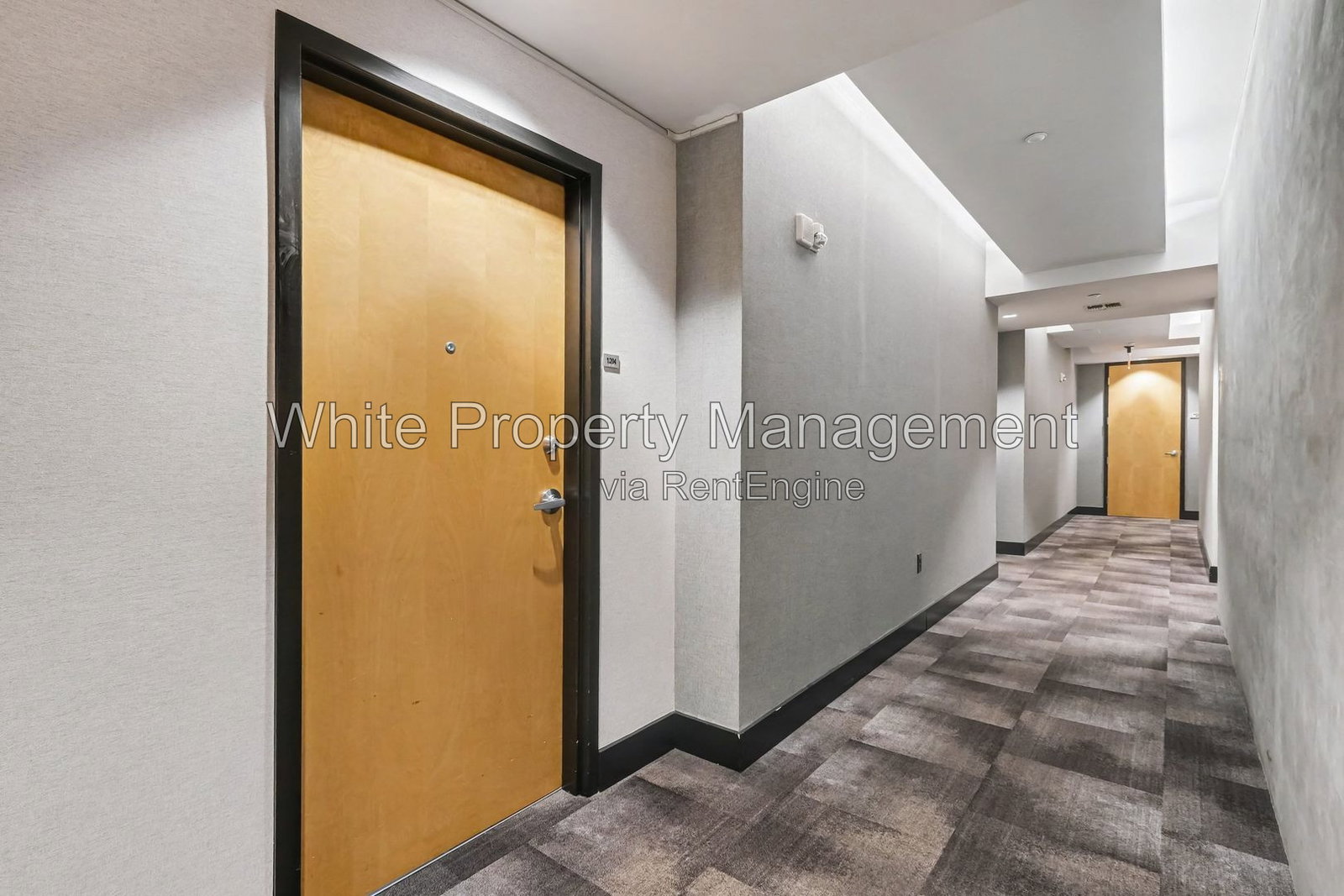 Gallery Image 16
