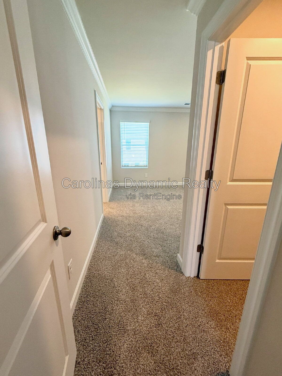 Gallery Image 18
