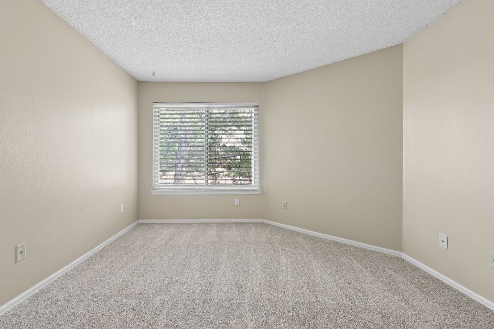 Gallery Image 21