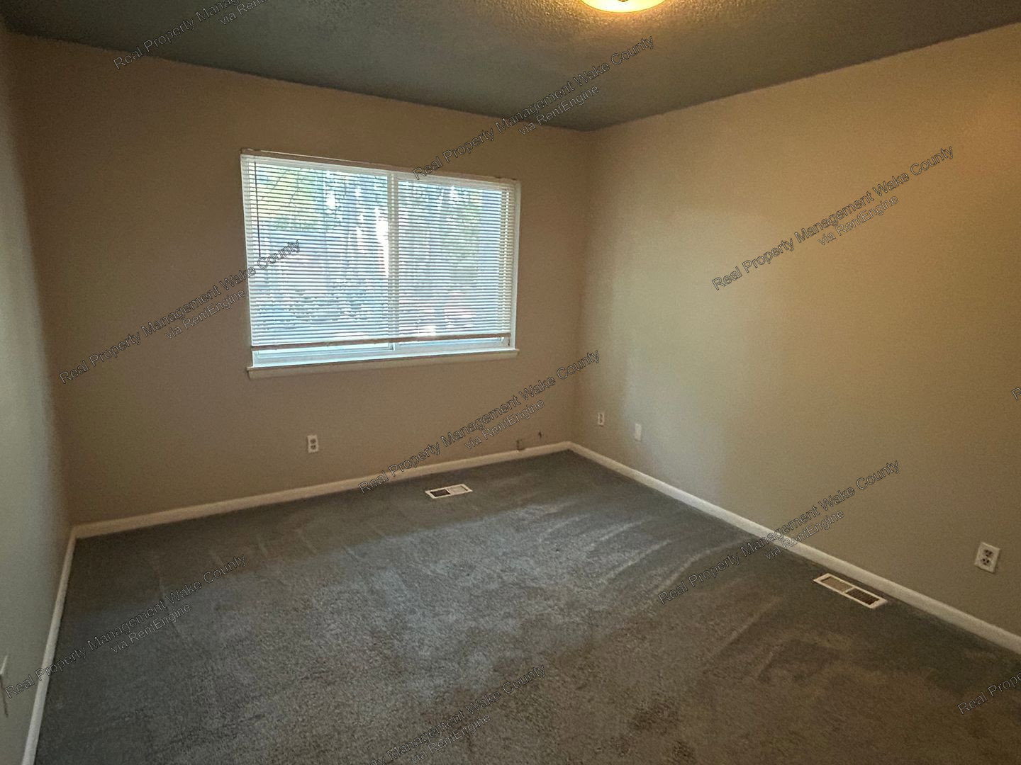 Gallery Image 38
