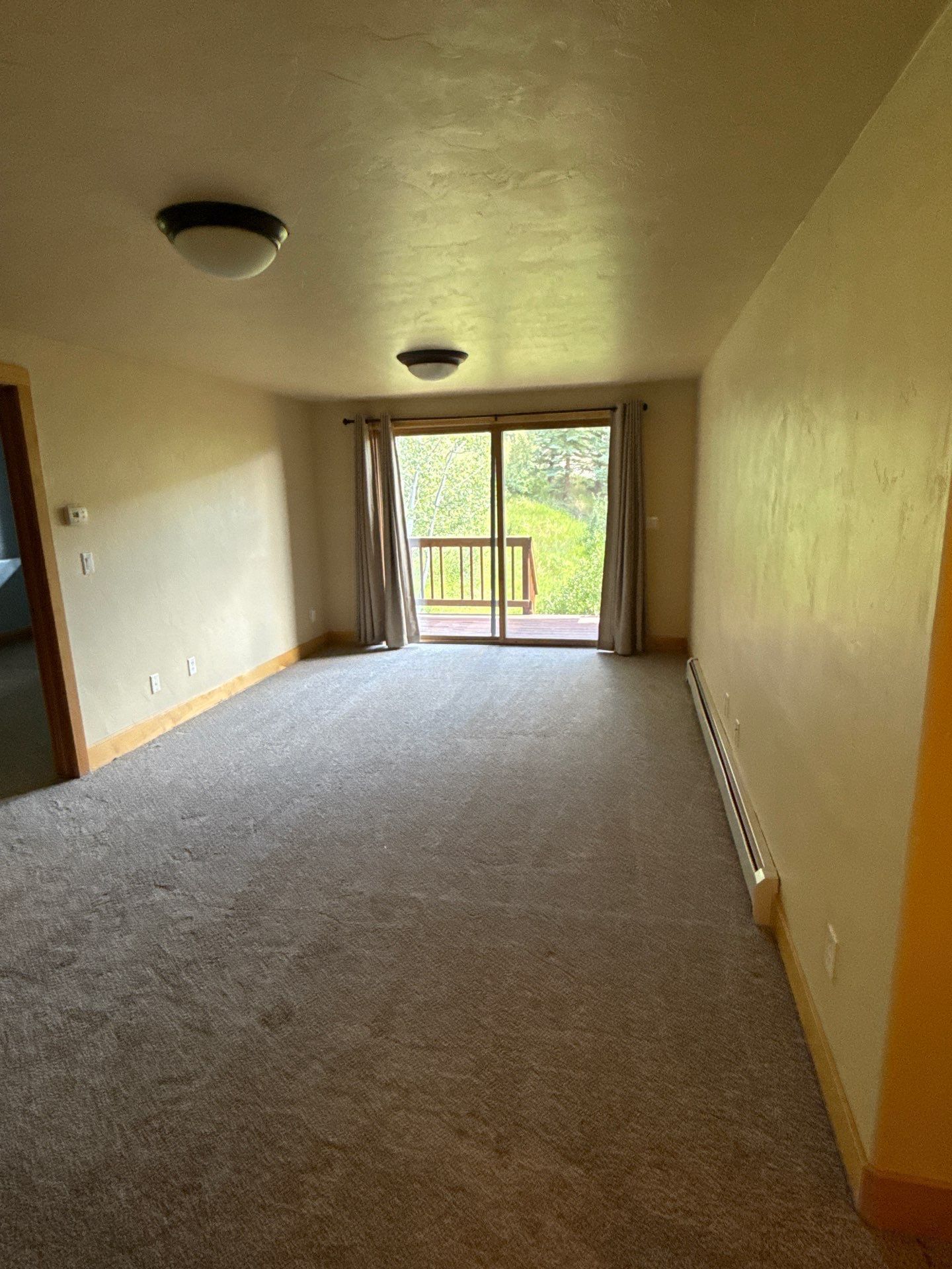 Gallery Image 19