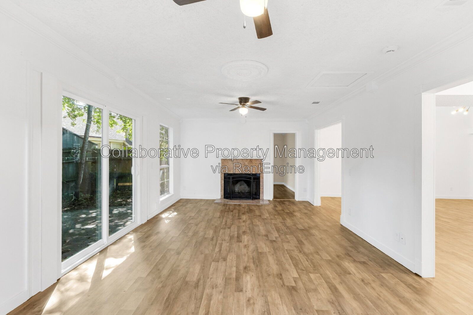 Gallery Image 13