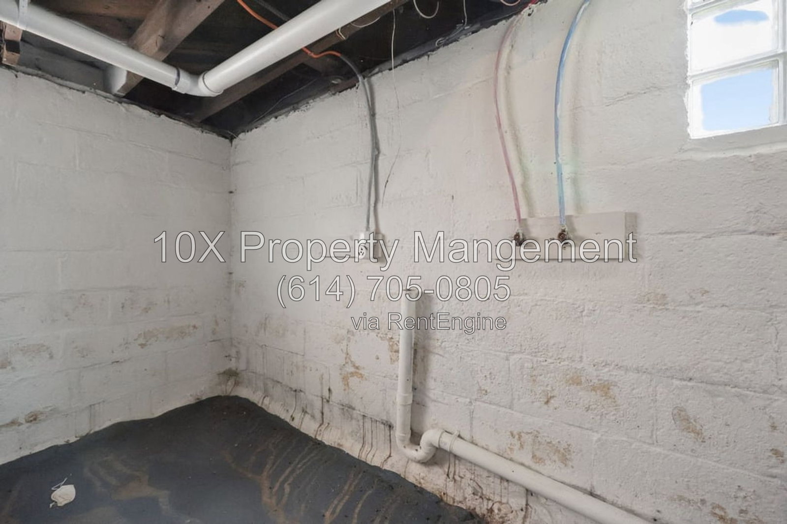 Gallery Image 31