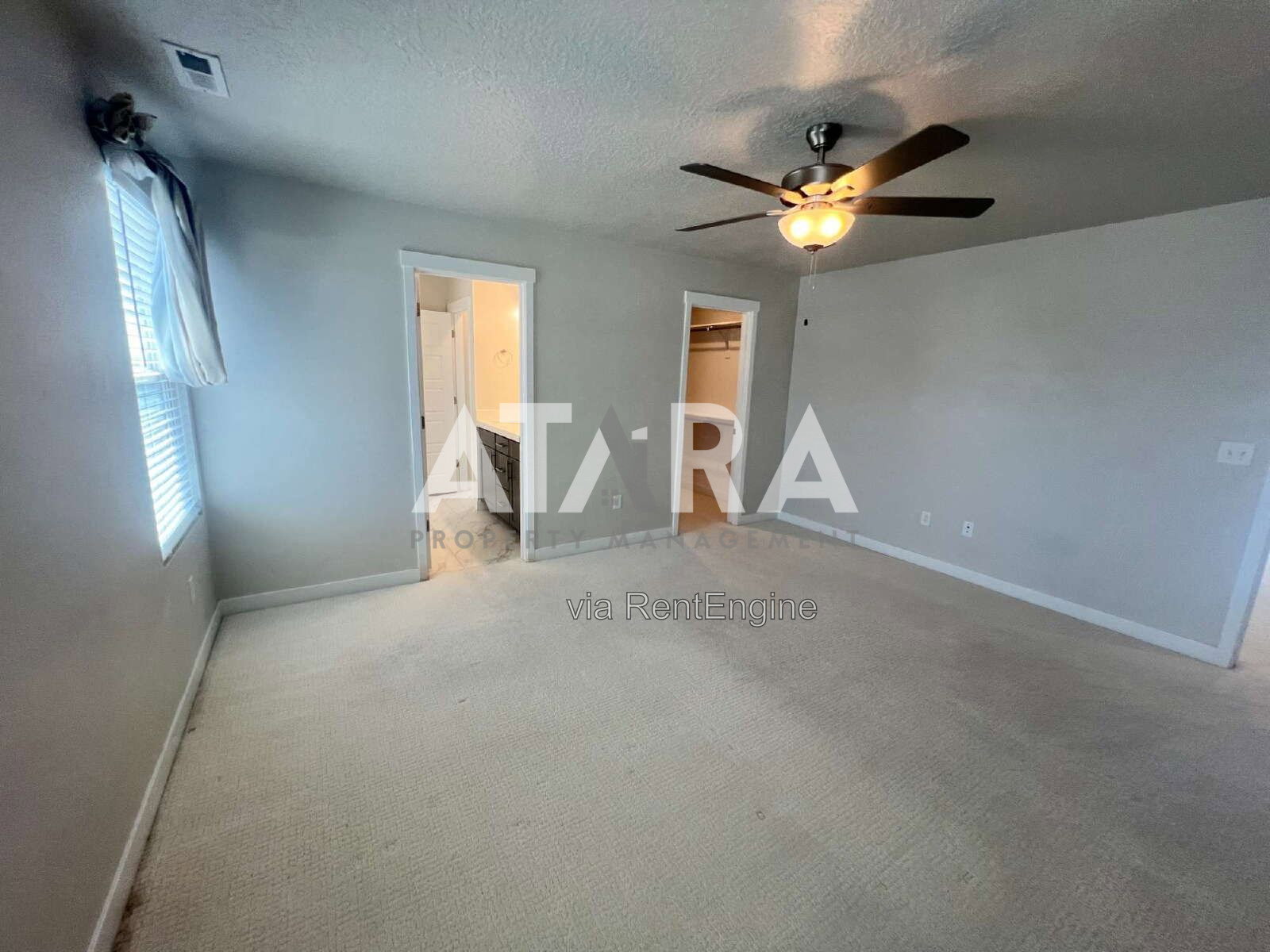 Gallery Image 35