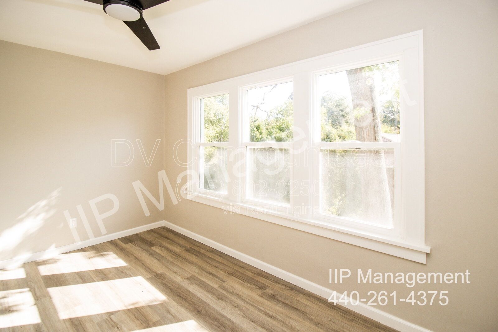 Gallery Image 17