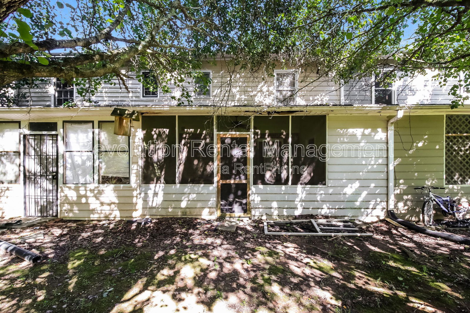 Gallery Image 15