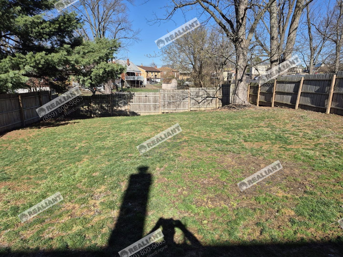 Gallery Image 43