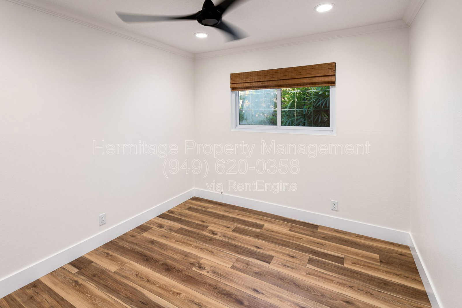 Gallery Image 19