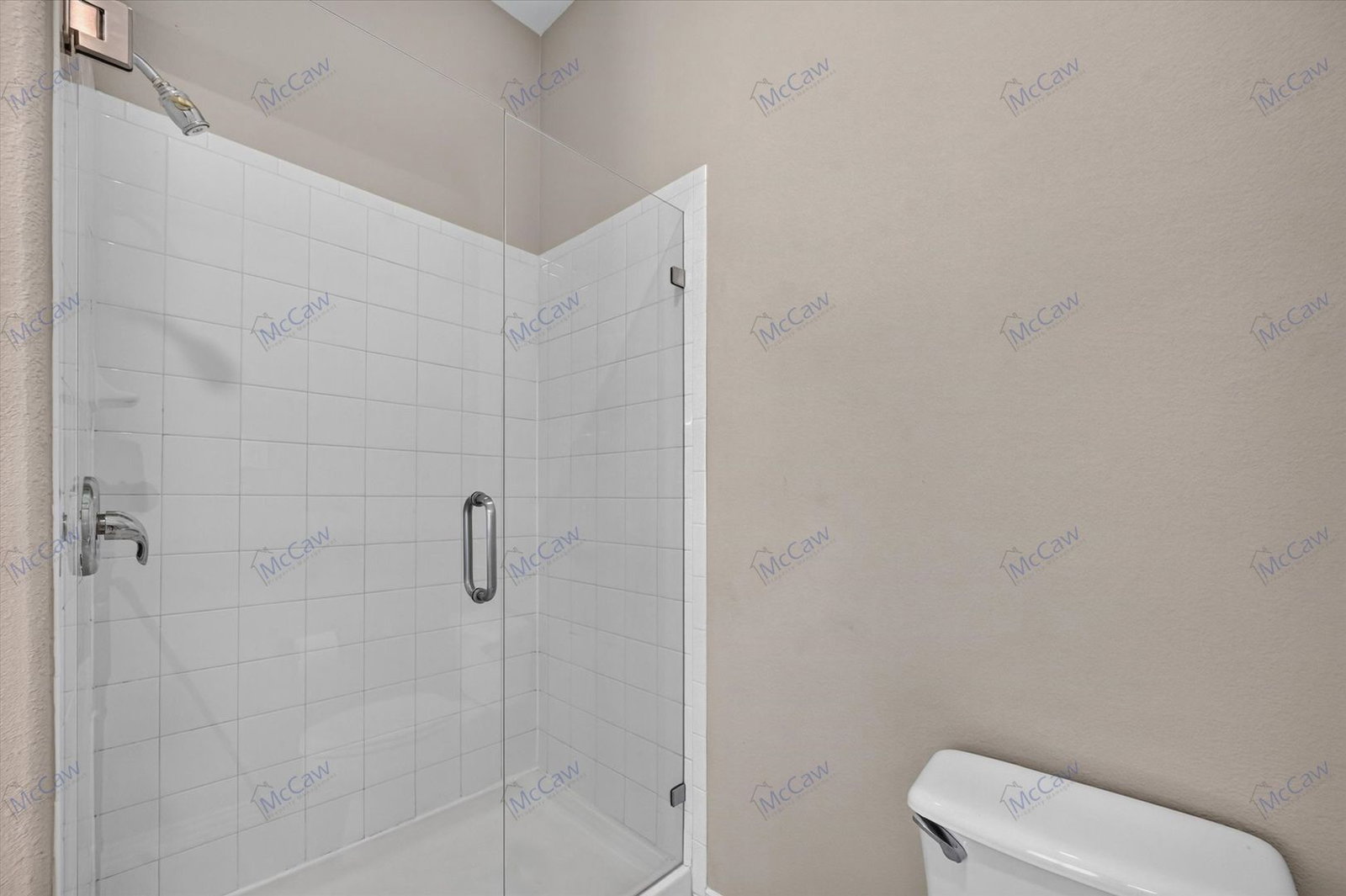 Gallery Image 19