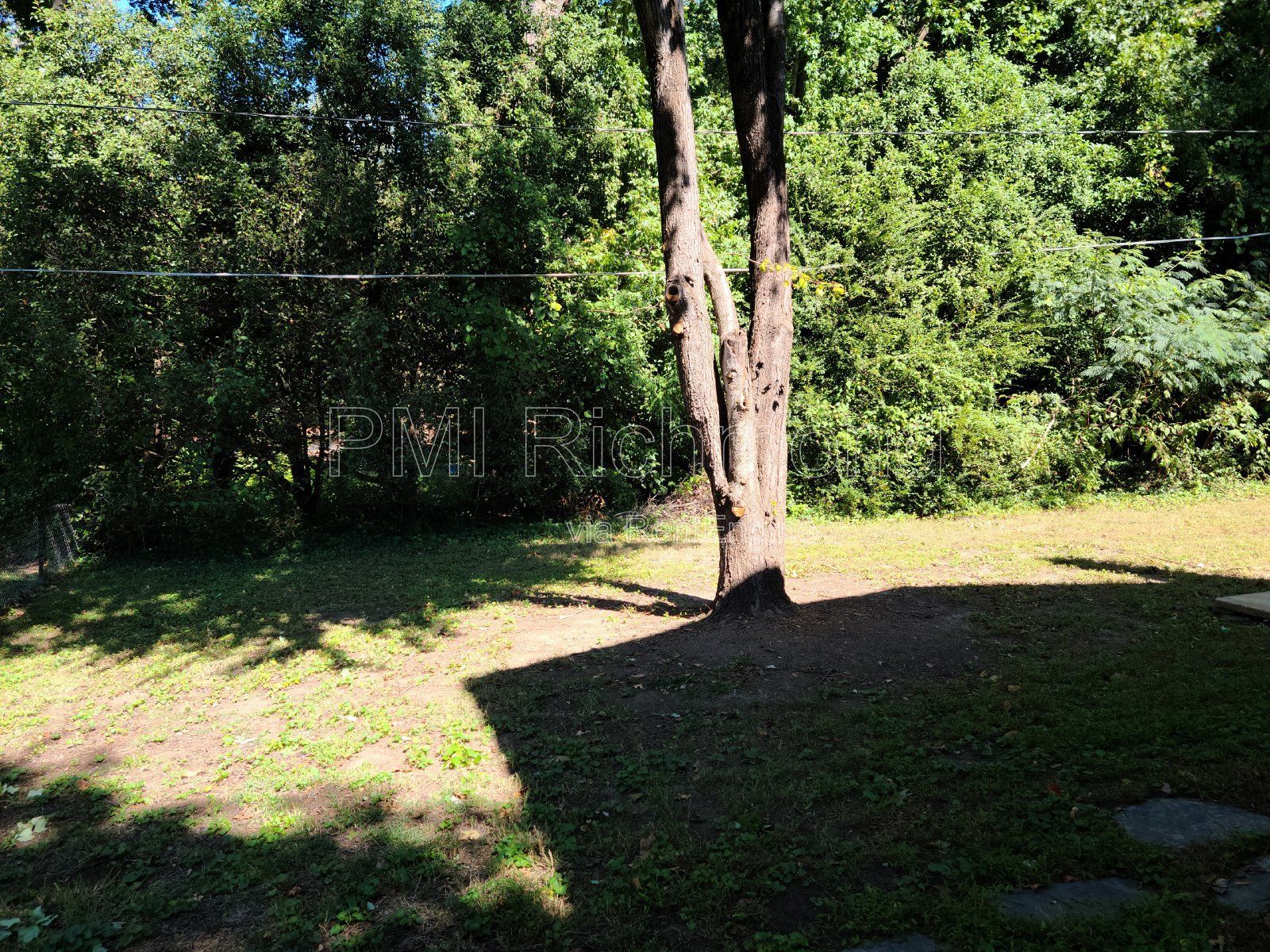 Gallery Image 20