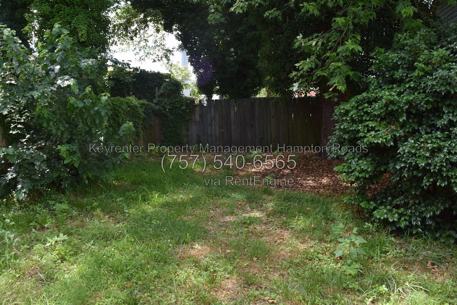 Gallery Image 43