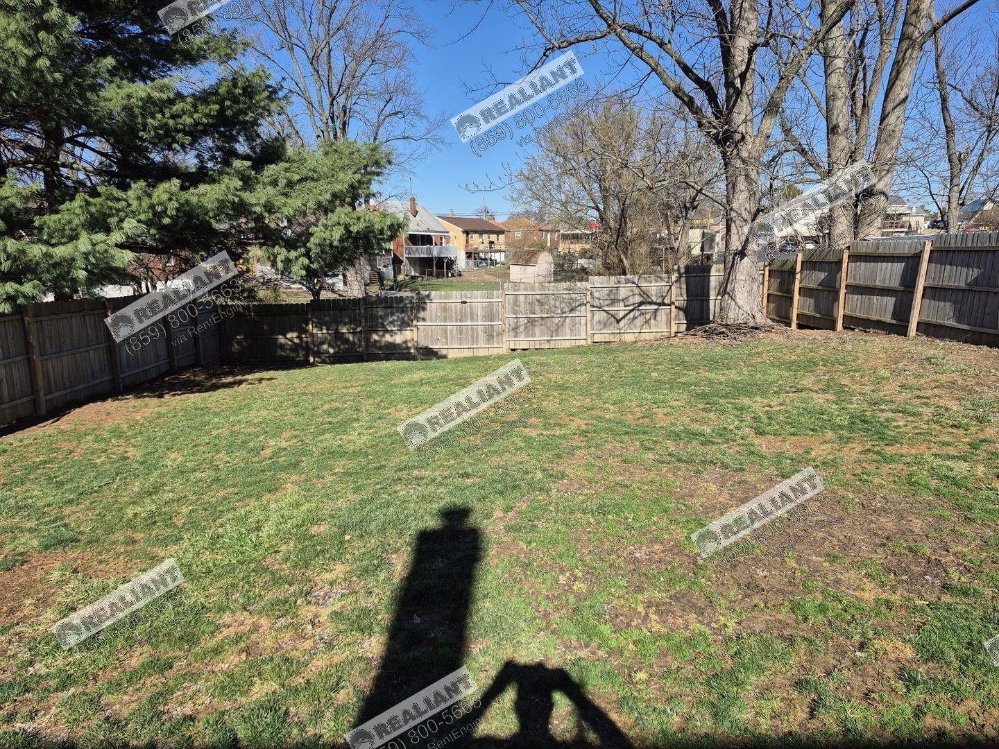 Gallery Image 44