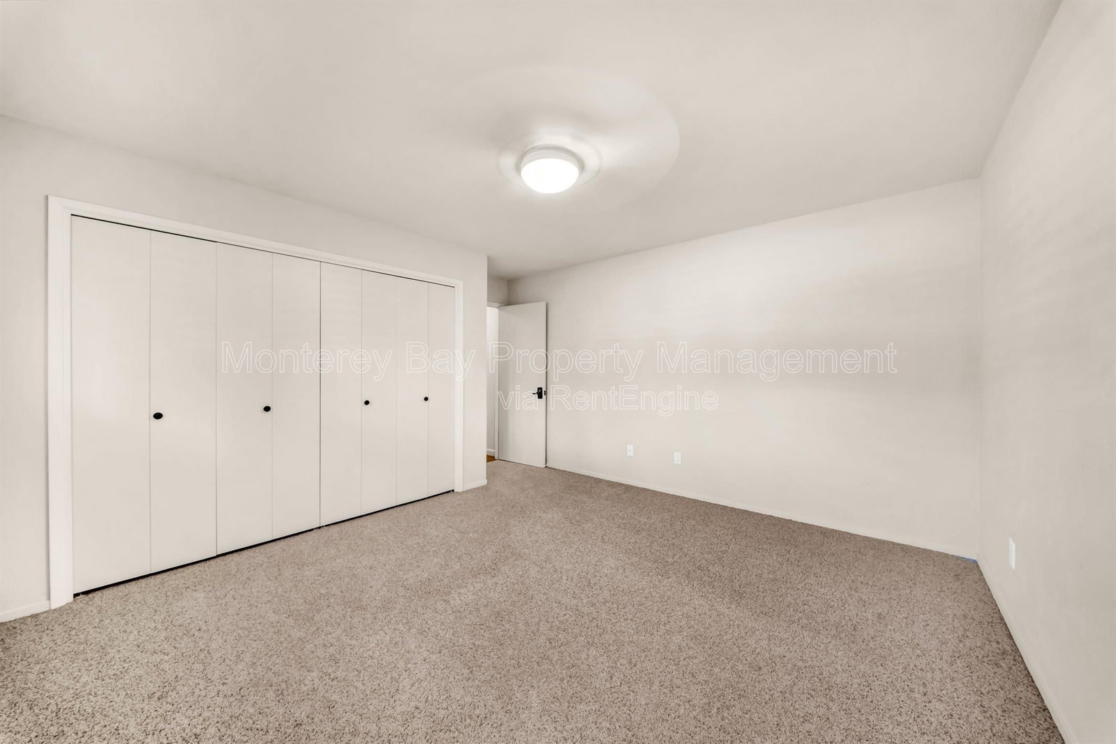 Gallery Image 41